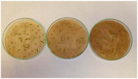 Applsci 13 02258 g0a3