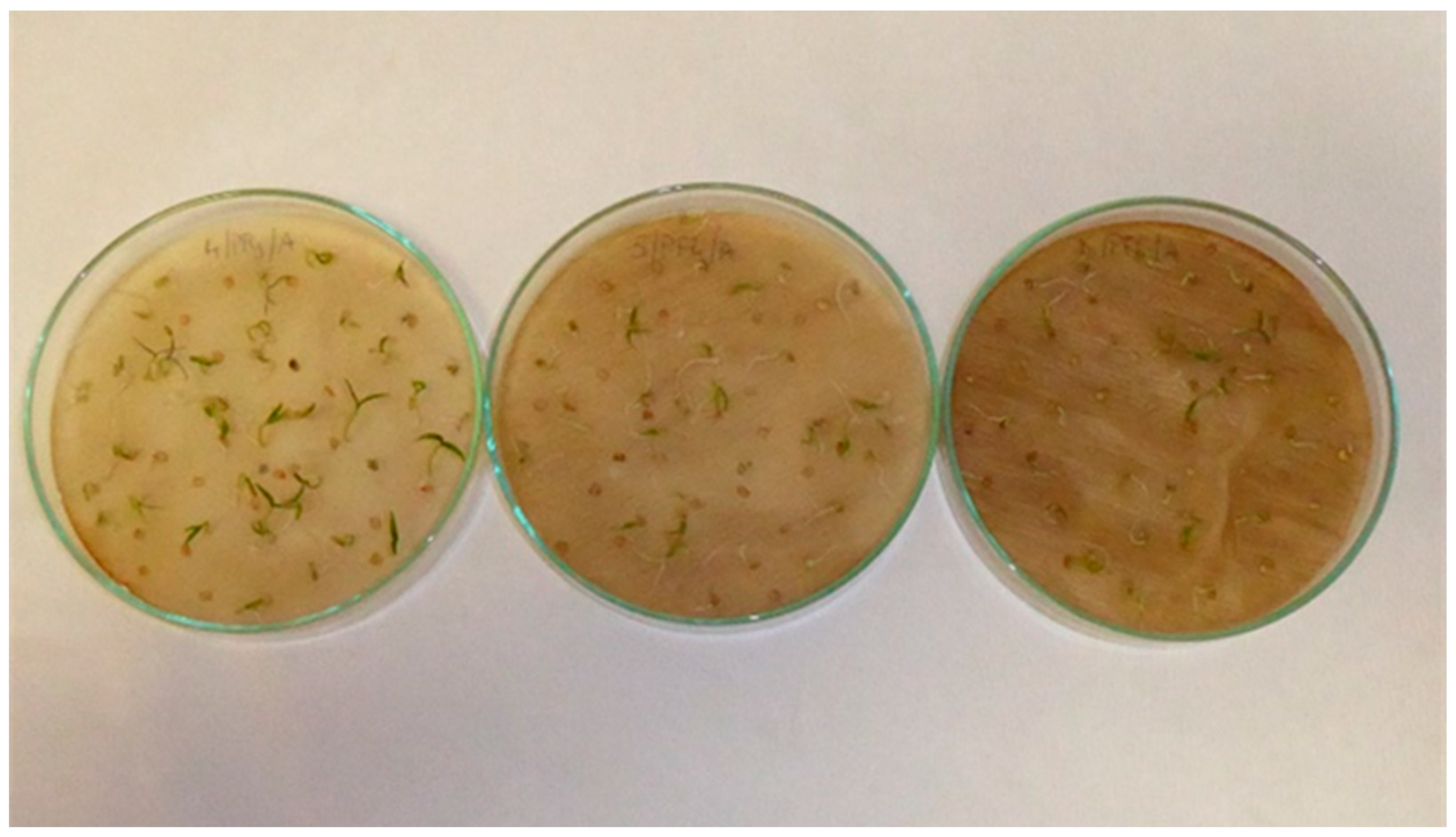 Applsci 13 02258 g0a3