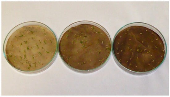 Applsci 13 02258 g0a4