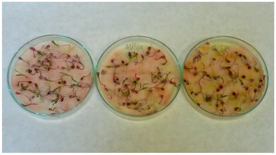 Applsci 13 02258 g0a5