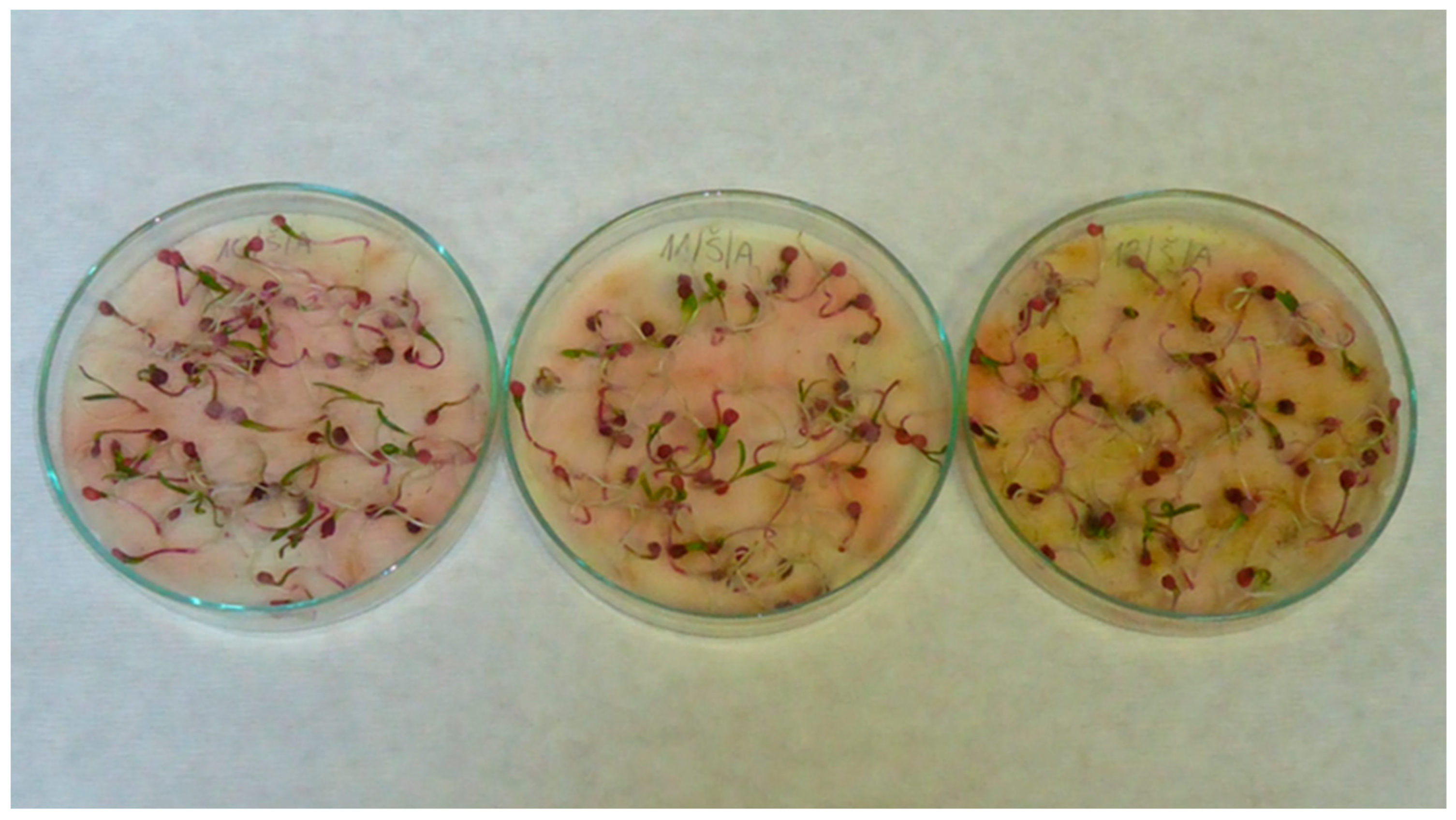 Applsci 13 02258 g0a5