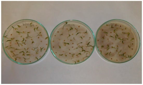 Applsci 13 02258 g0a6