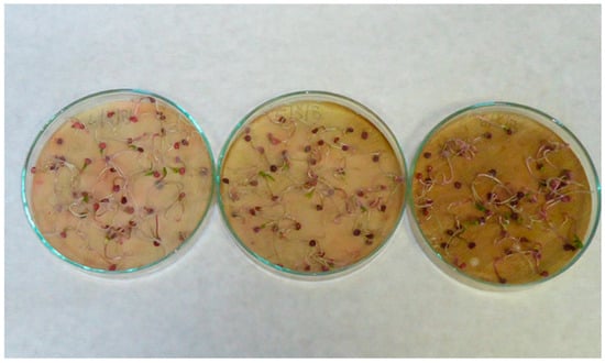 Applsci 13 02258 g0a7