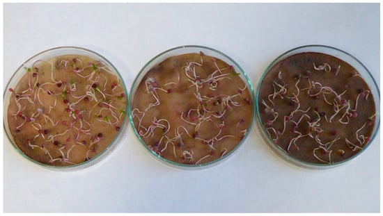 Applsci 13 02258 g0a8