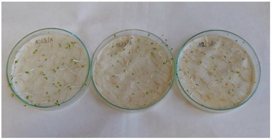 Applsci 13 02258 g0a9