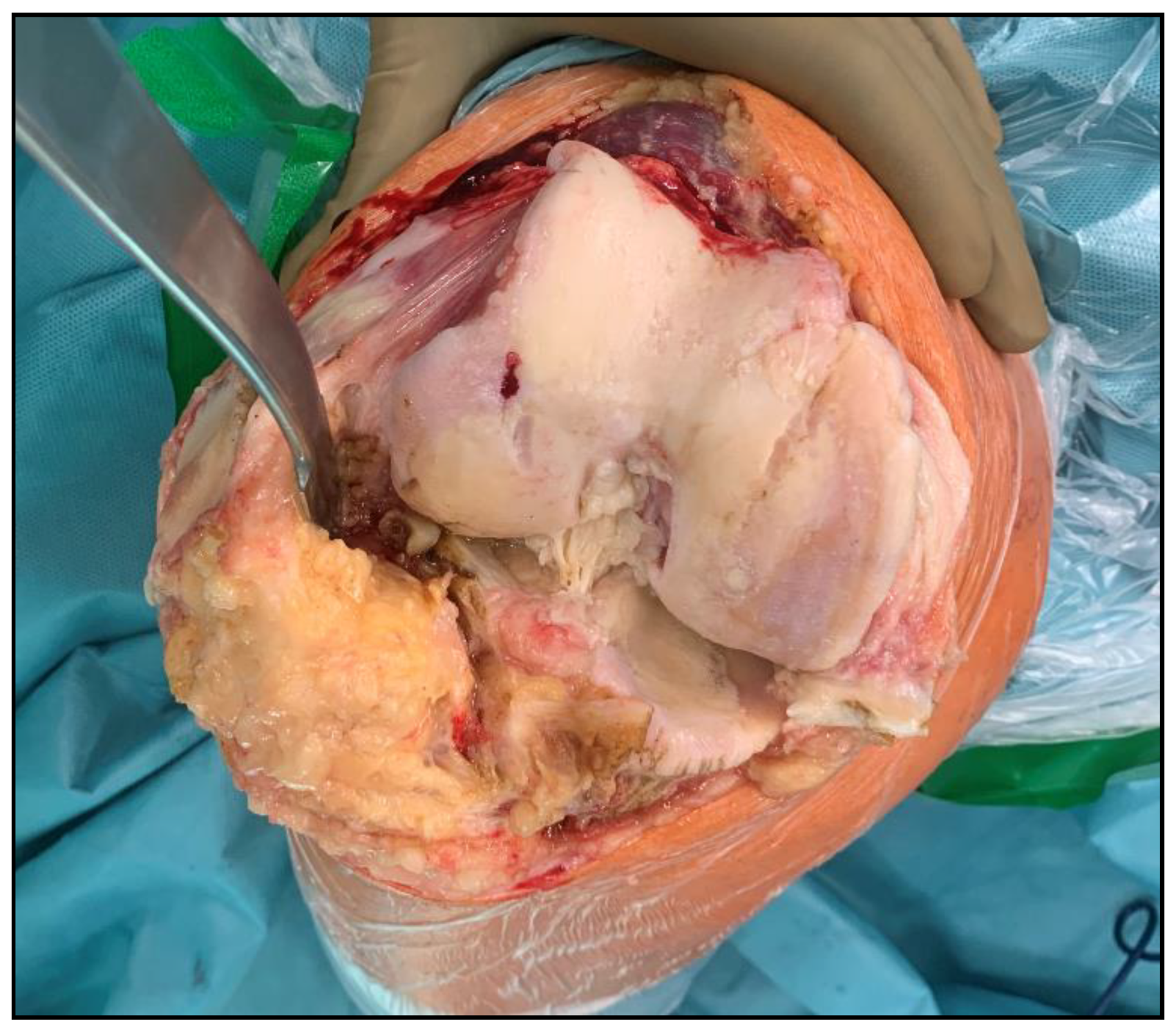 Applsci 13 02267 g001