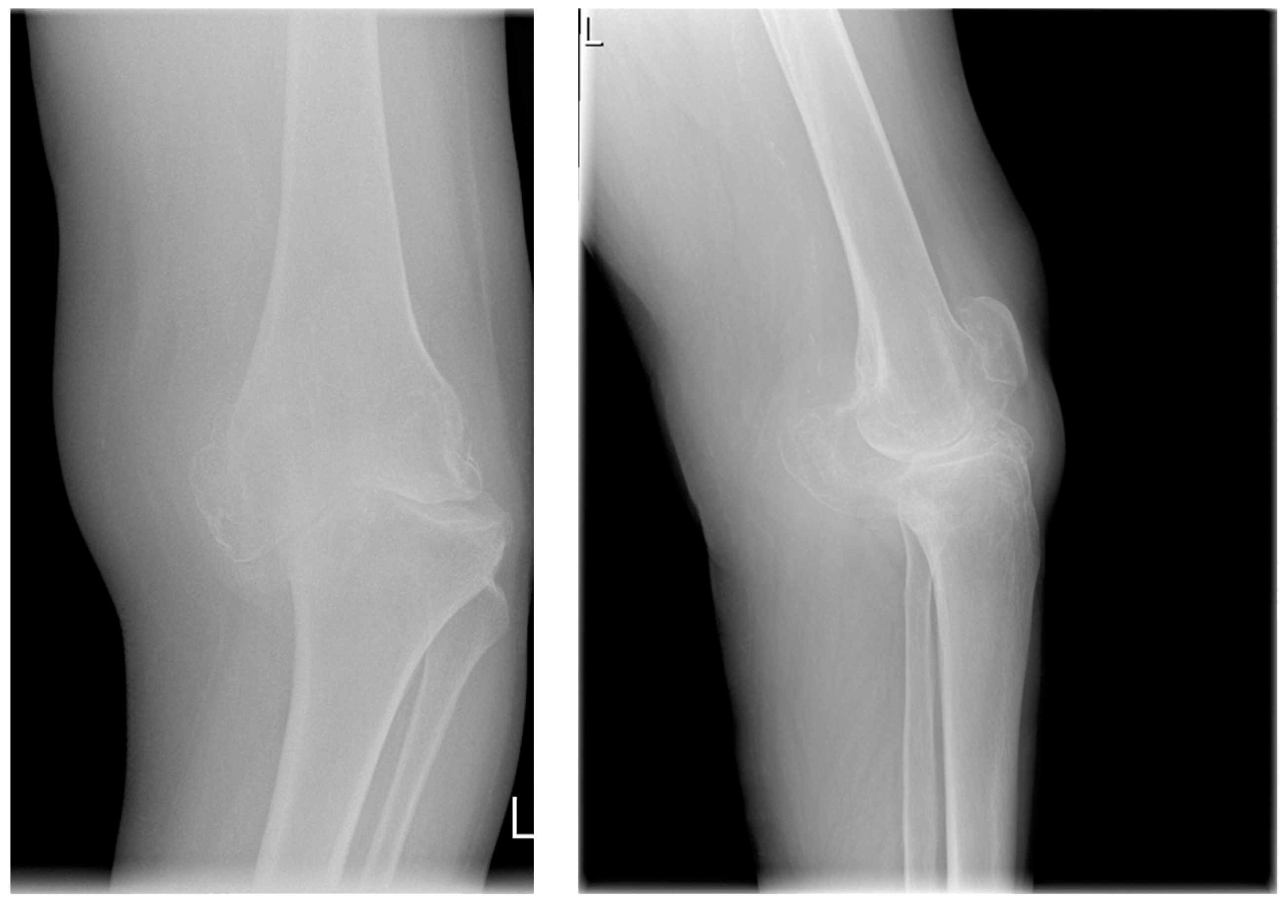 Applsci 13 02267 g002