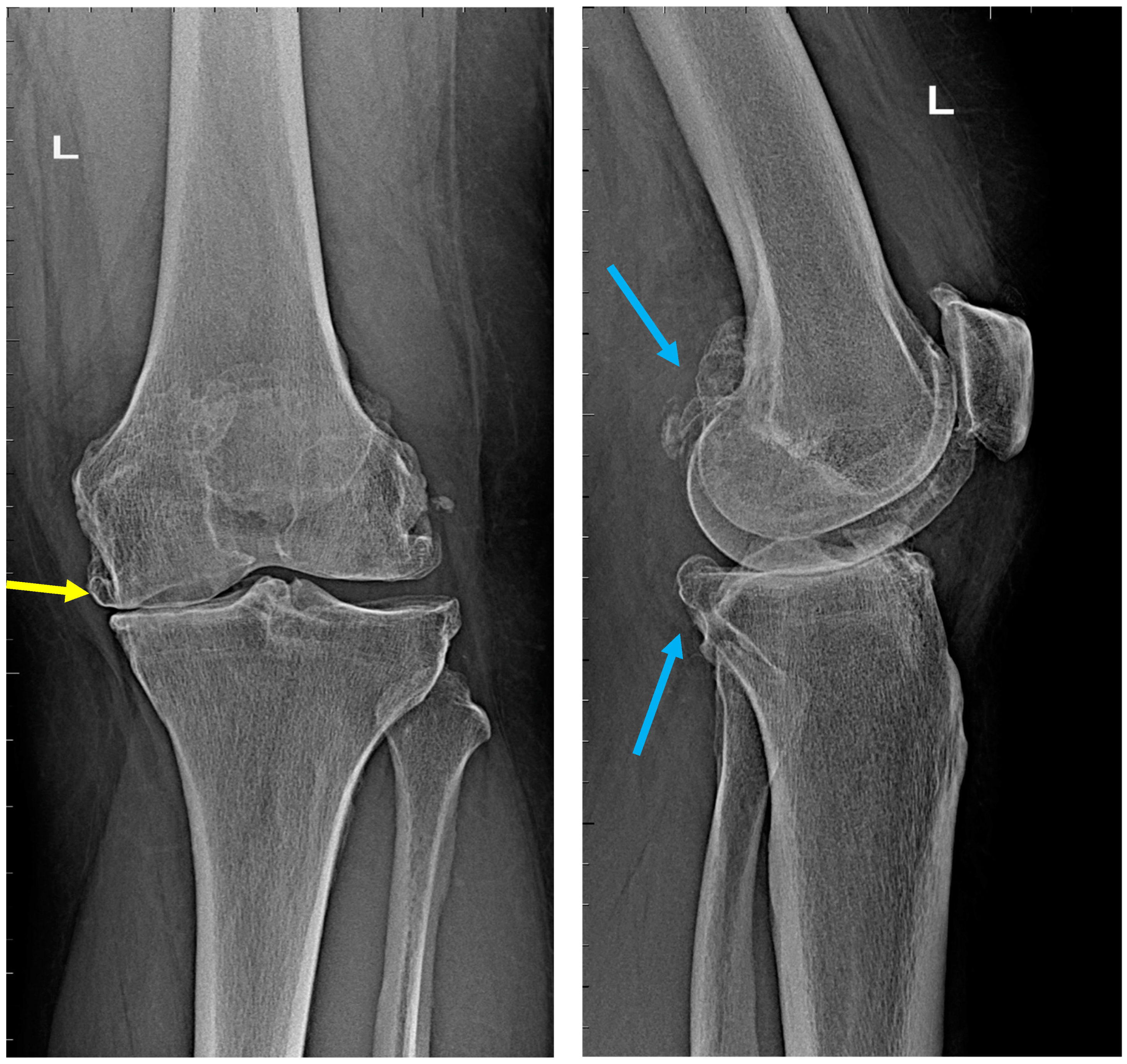 Applsci 13 02267 g003