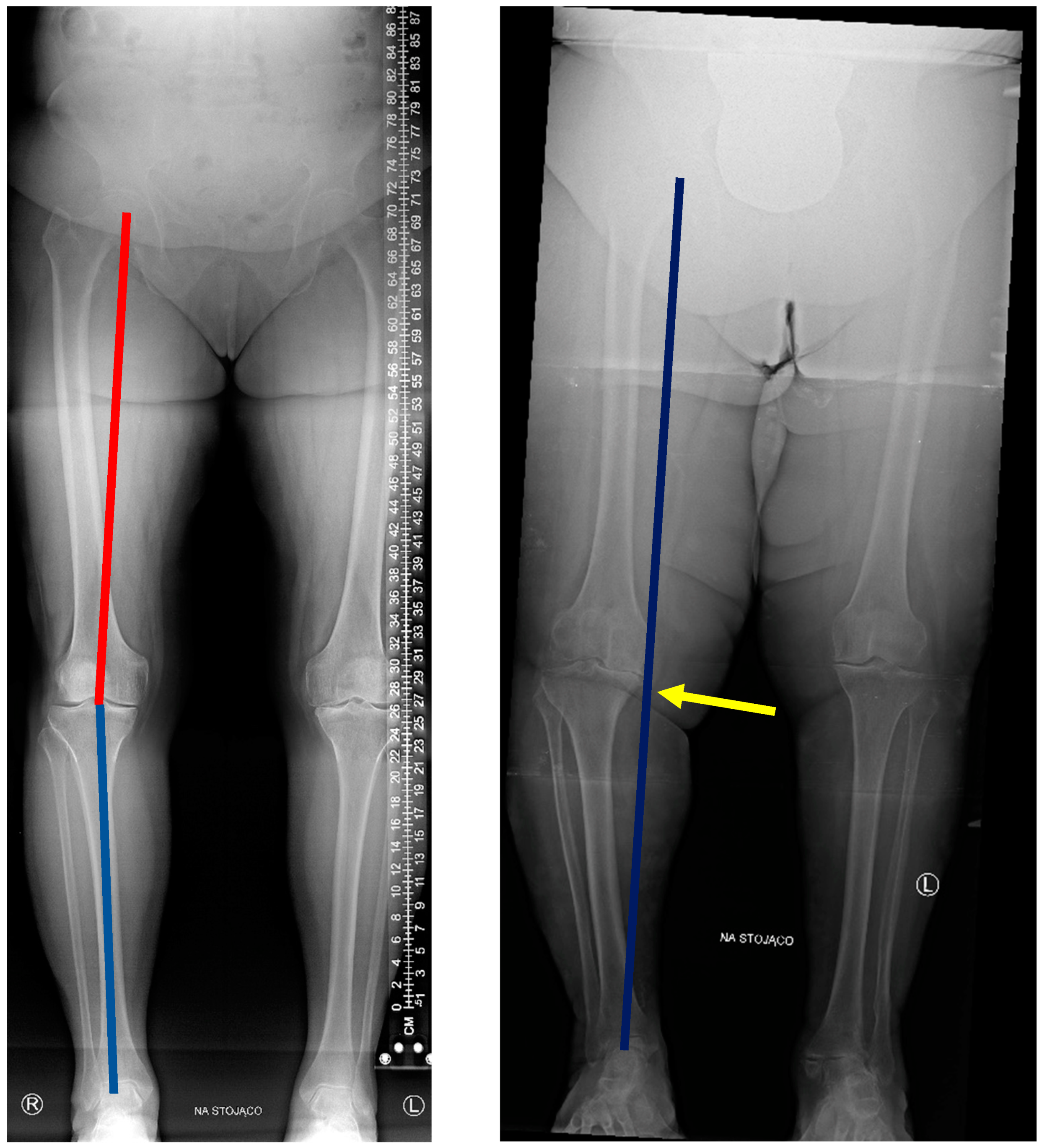 Applsci 13 02267 g004