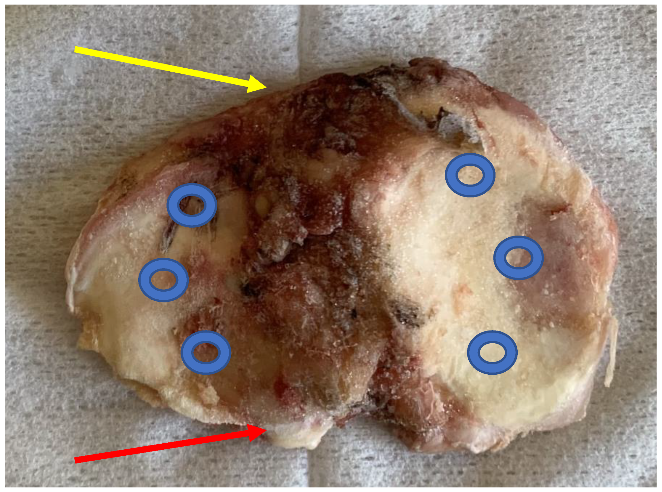 Applsci 13 02267 g005