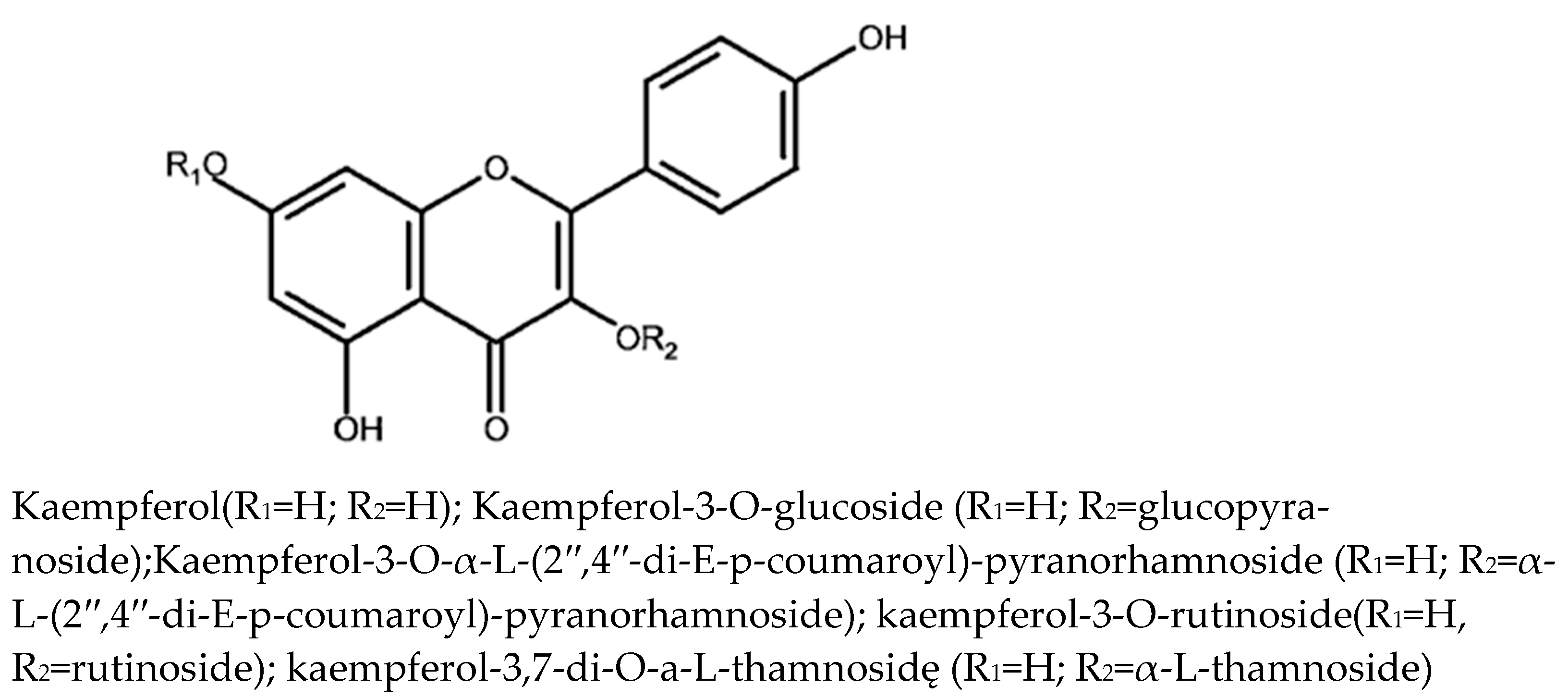 Applsci 13 02275 g001 Applsci 13 02275 g001