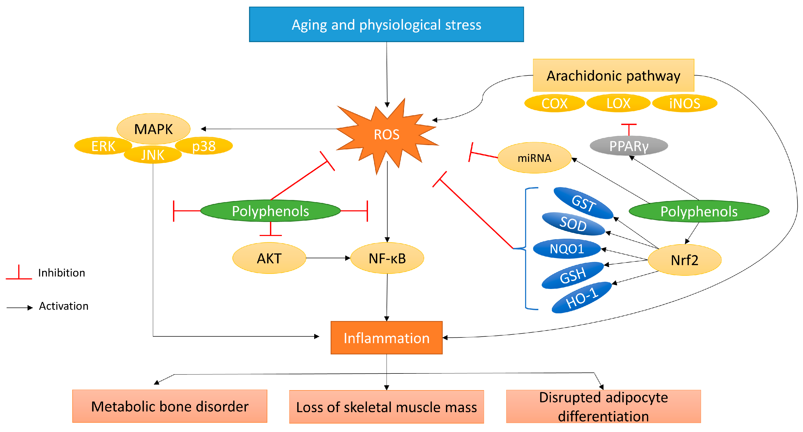 Applsci 13 02275 g004 Applsci 13 02275 g004