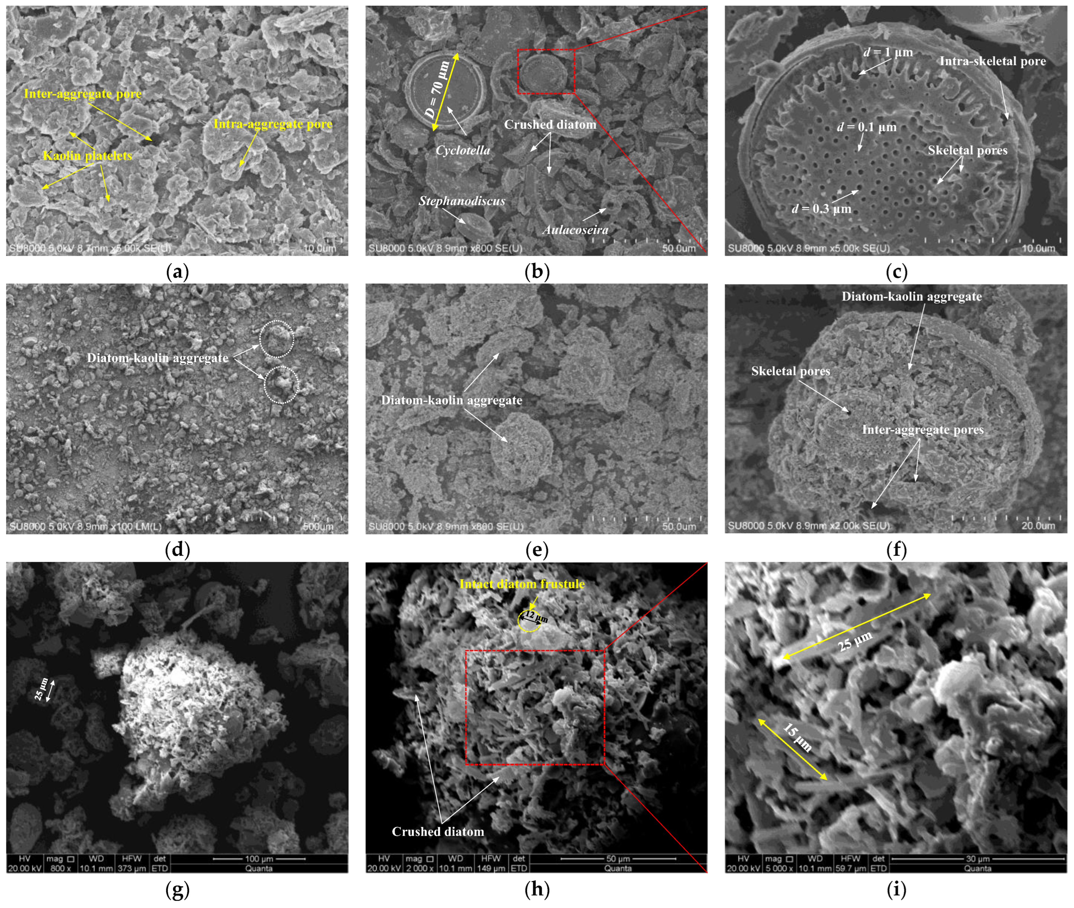 Applsci 13 02287 g003
