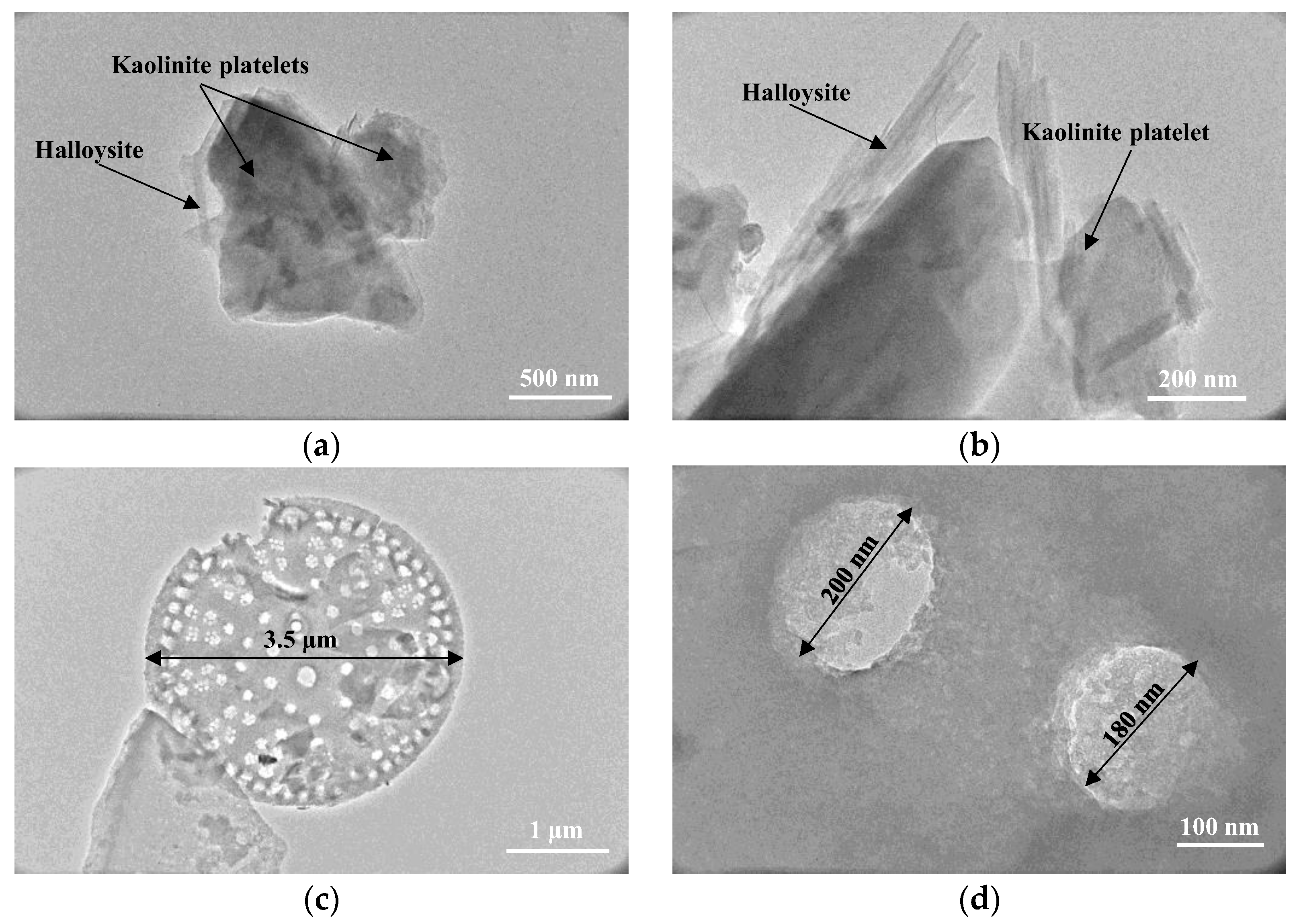 Applsci 13 02287 g004