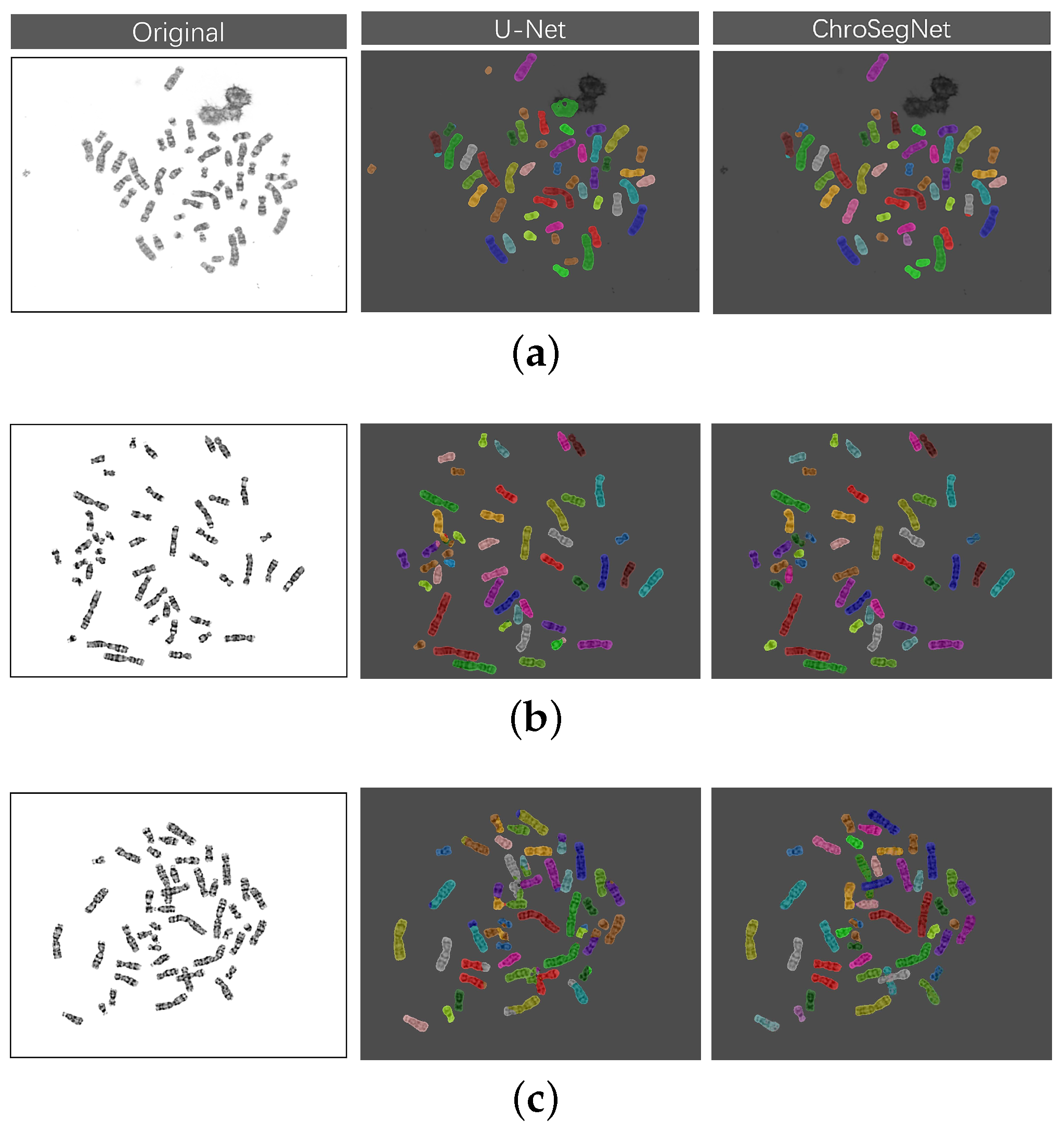 Applsci 13 02308 g007