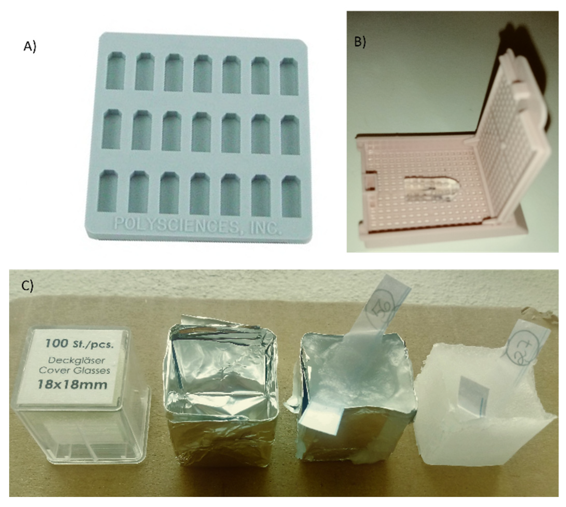 Applsci 13 02346 g002