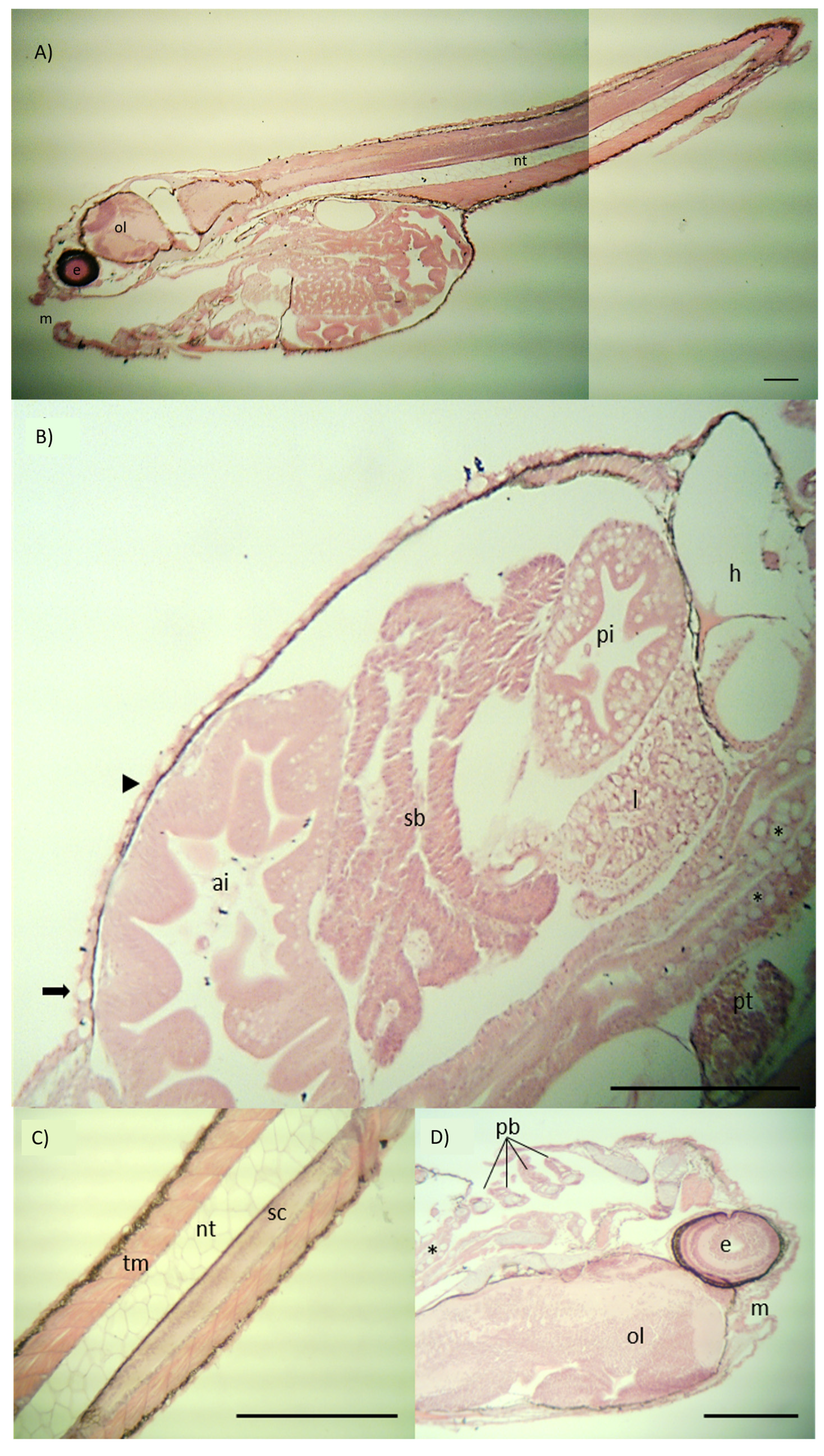Applsci 13 02346 g003