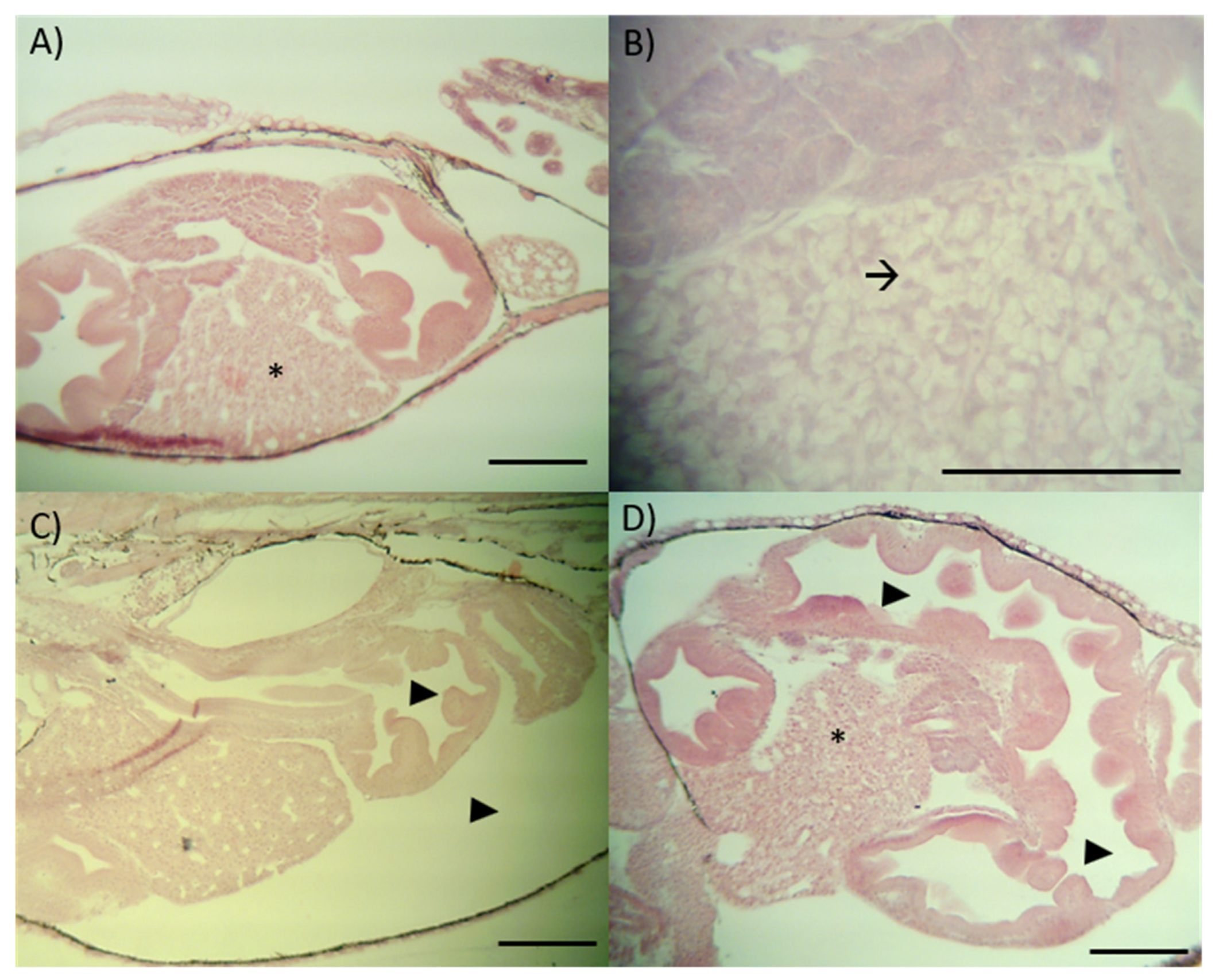 Applsci 13 02346 g004