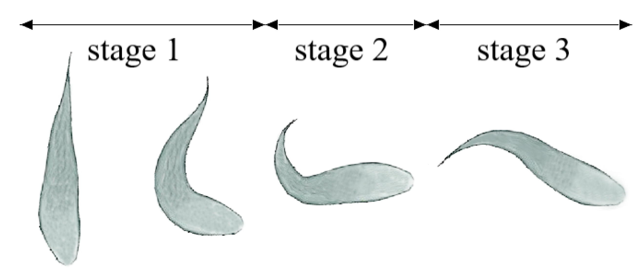 Applsci 13 02365 g001 Applsci 13 02365 g001