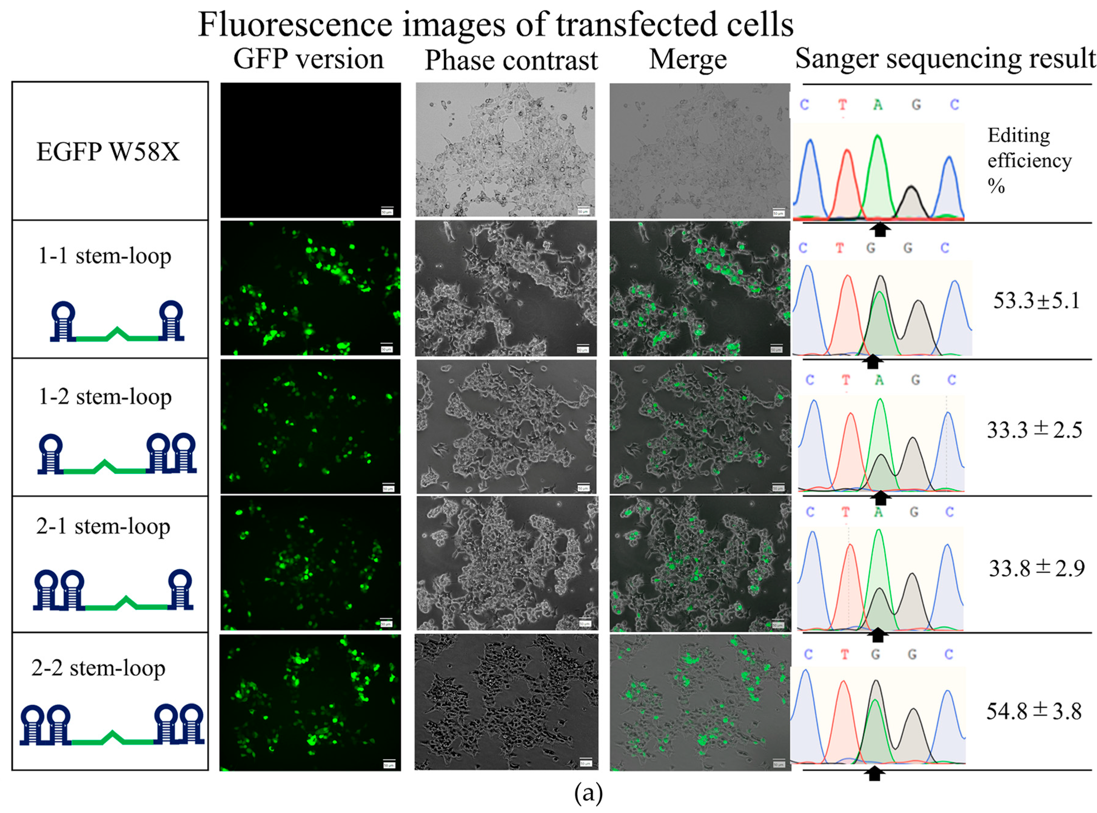 Applsci 13 02383 g002a