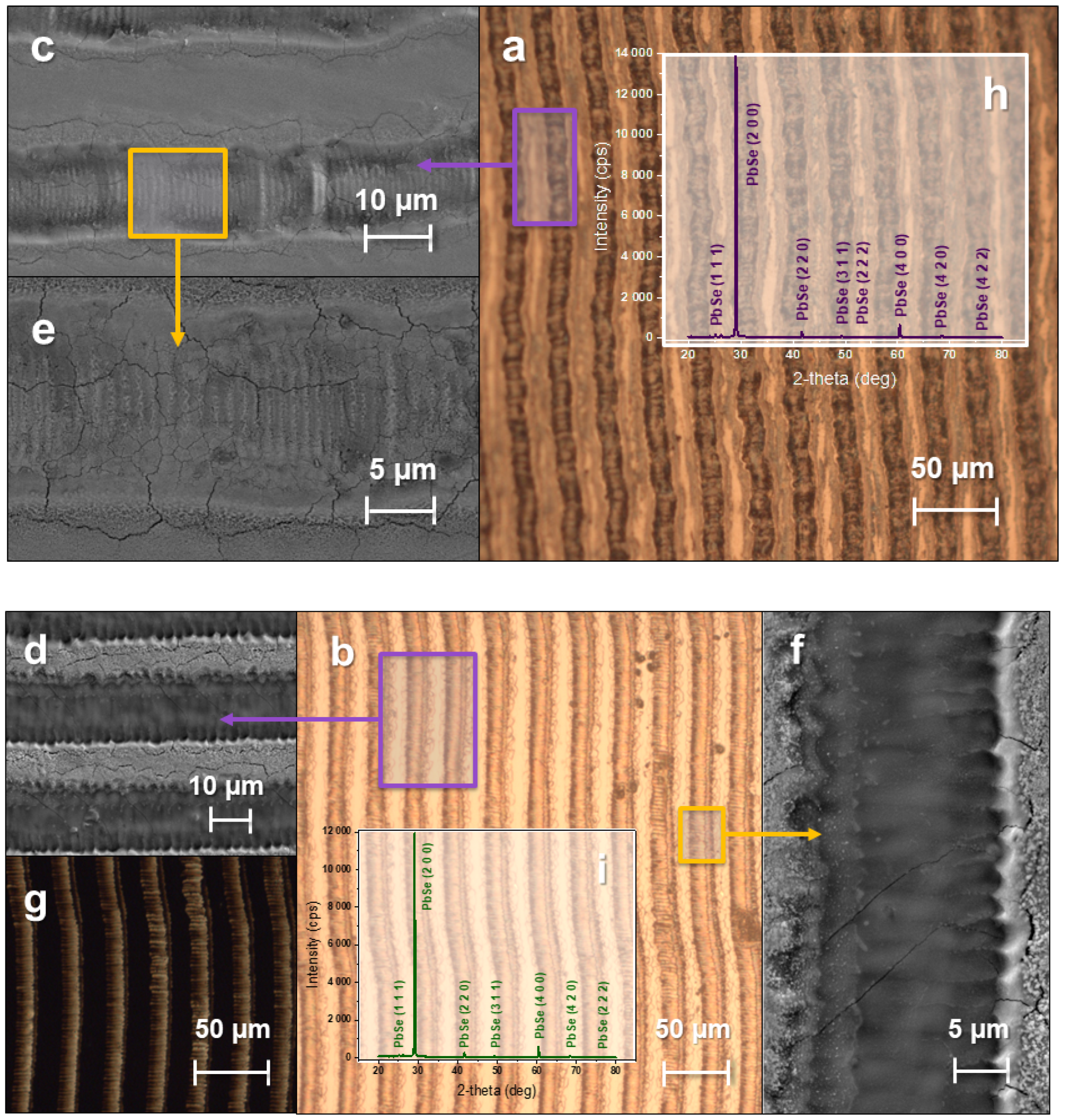Applsci 13 02396 g005