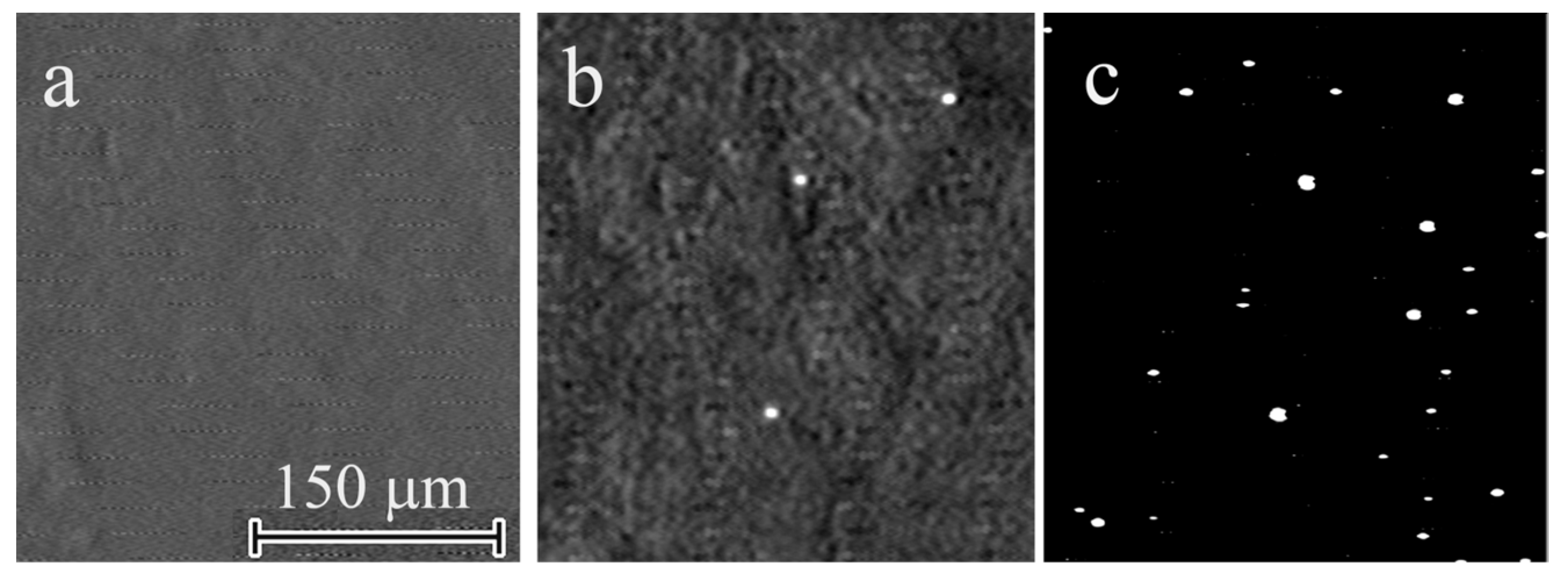 Applsci 13 02481 g001