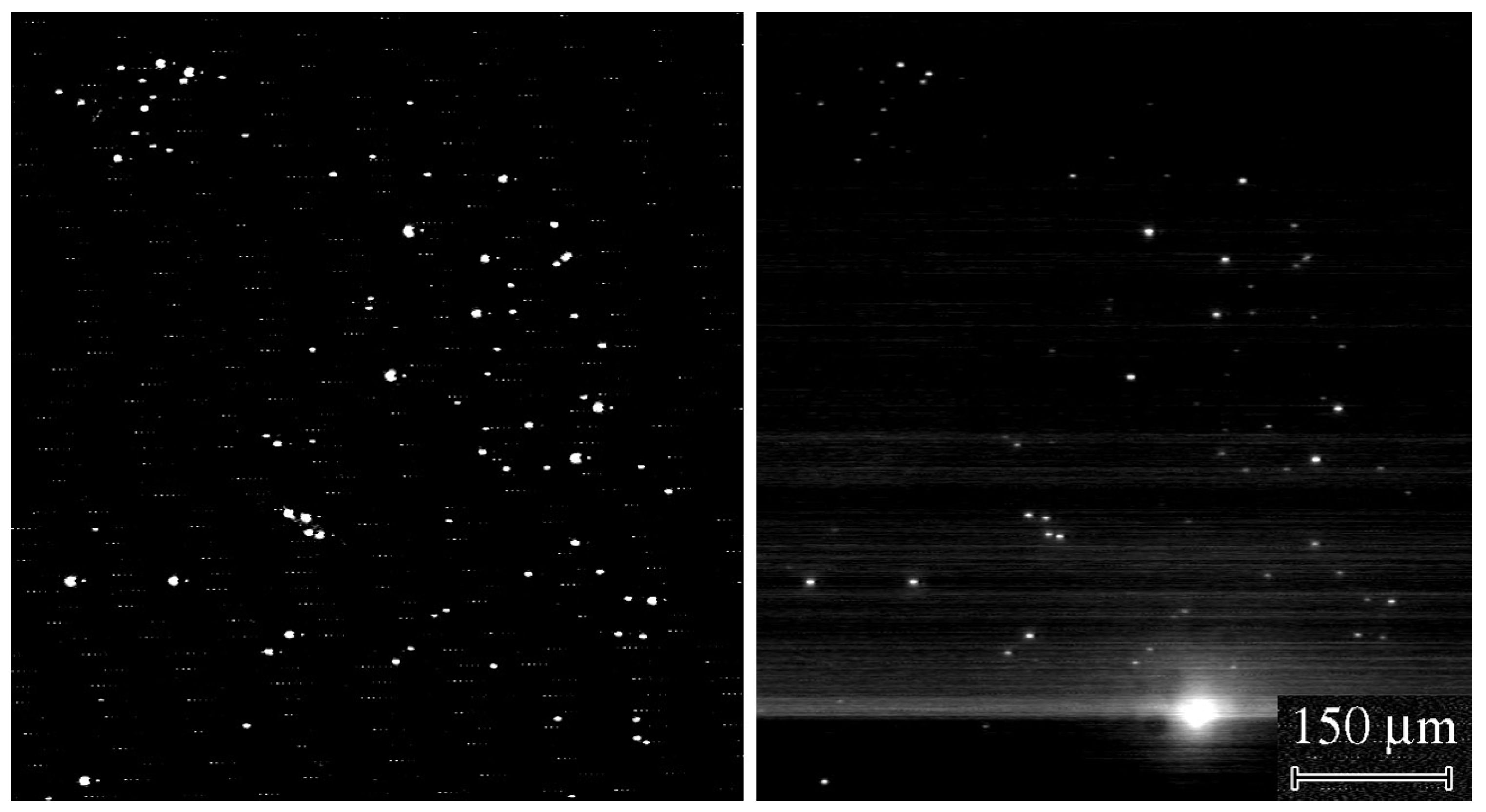 Applsci 13 02481 g004