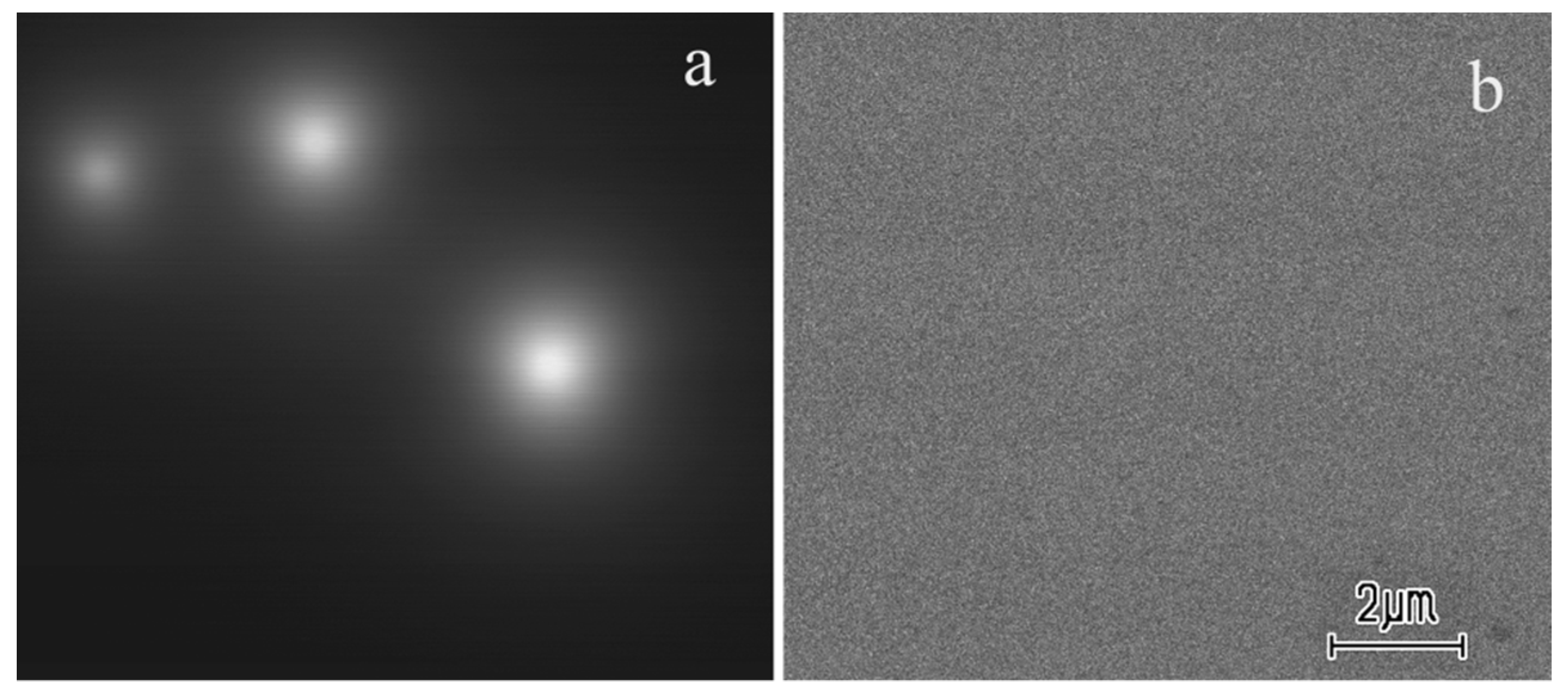 Applsci 13 02481 g006