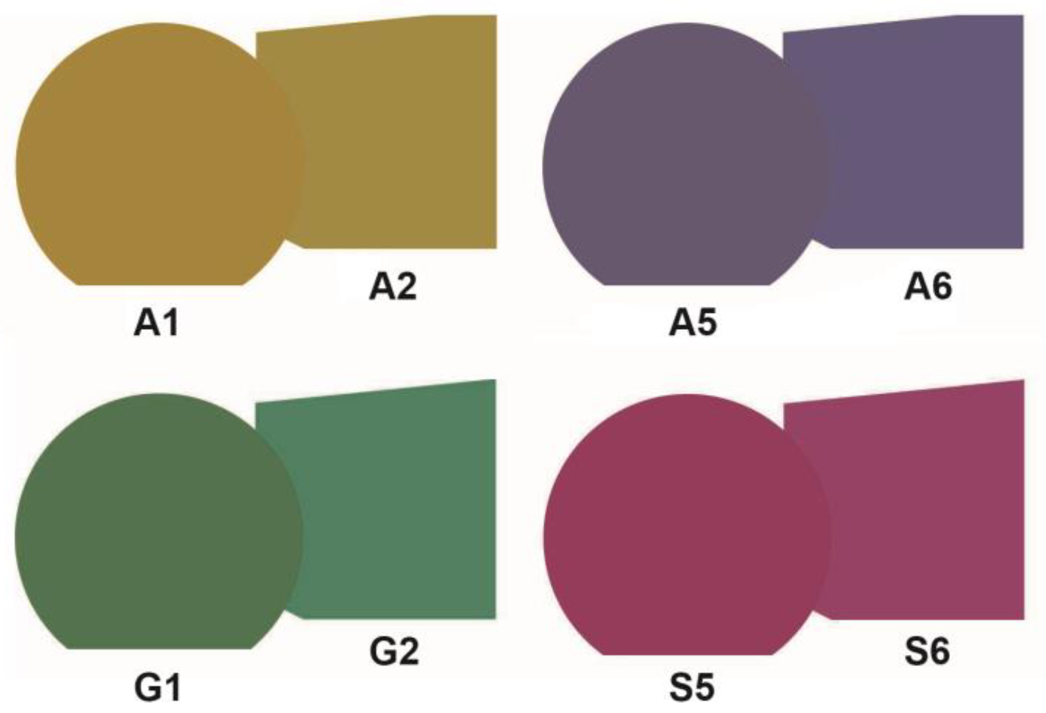 Applsci 13 02483 g010