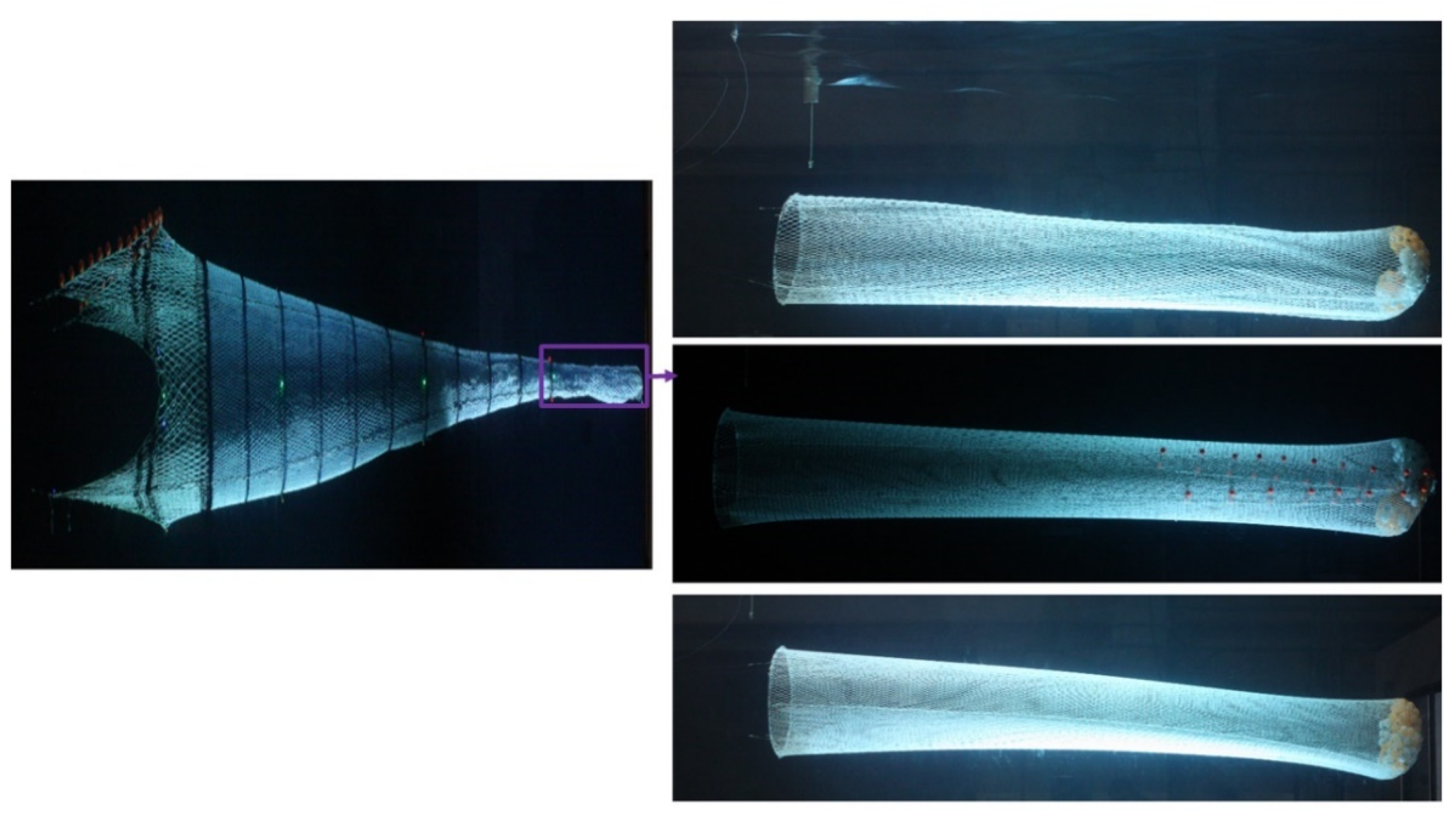Applsci 13 02505 g002 Applsci 13 02505 g002