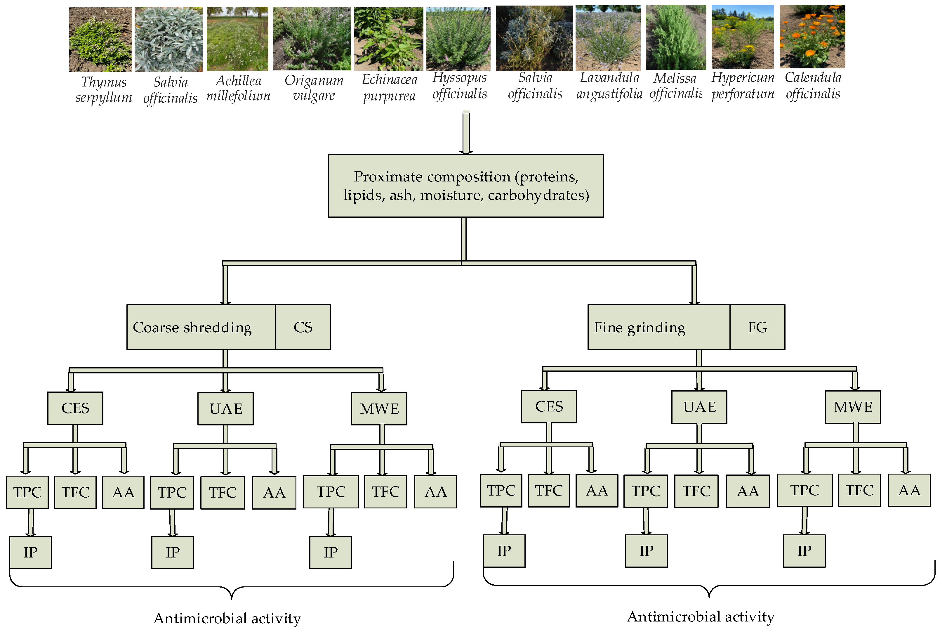 Applsci 13 02530 g001