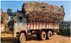 Applsci 13 02549 i002 Applsci 13 02549 i002