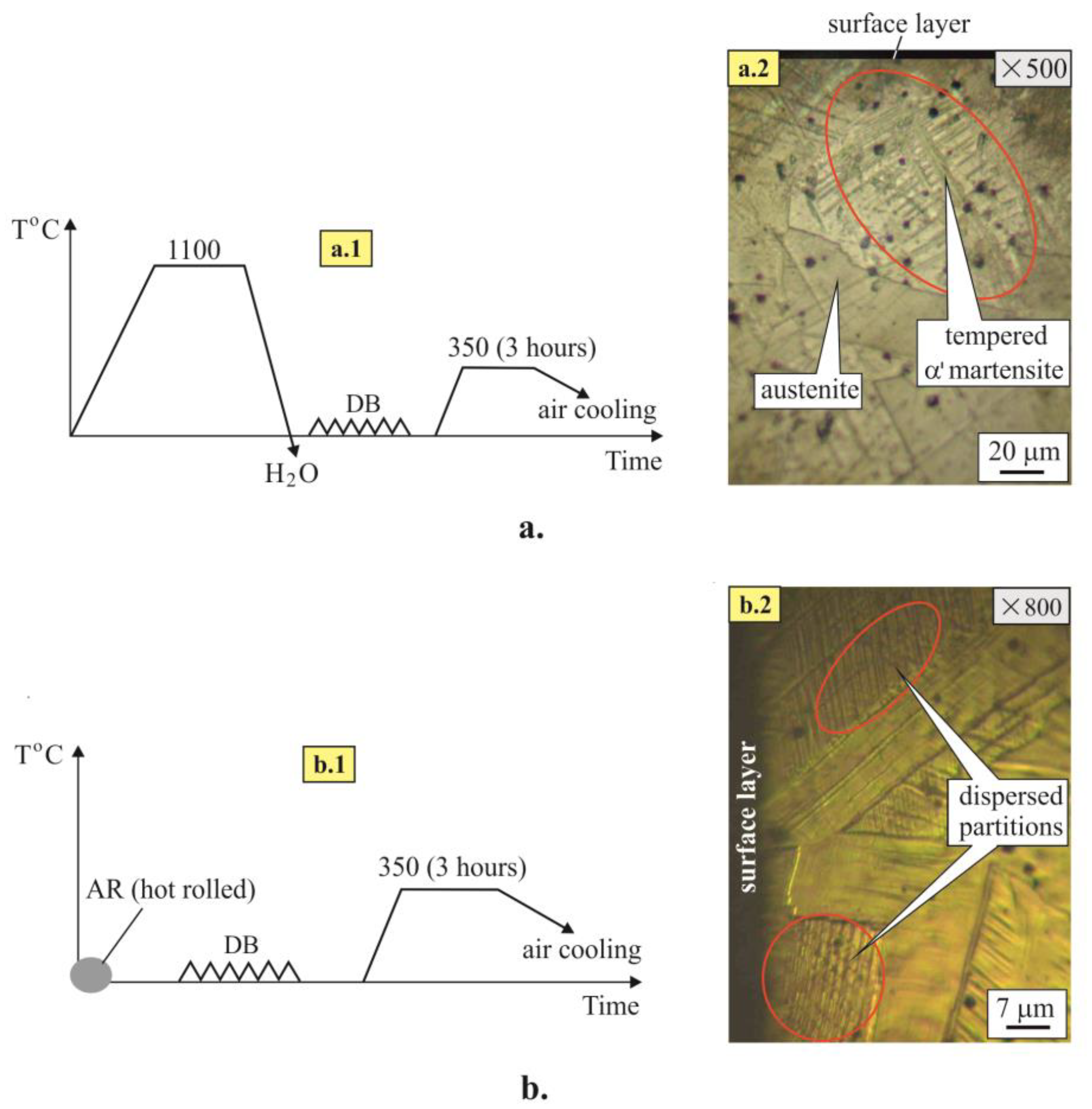 Applsci 13 02570 g010
