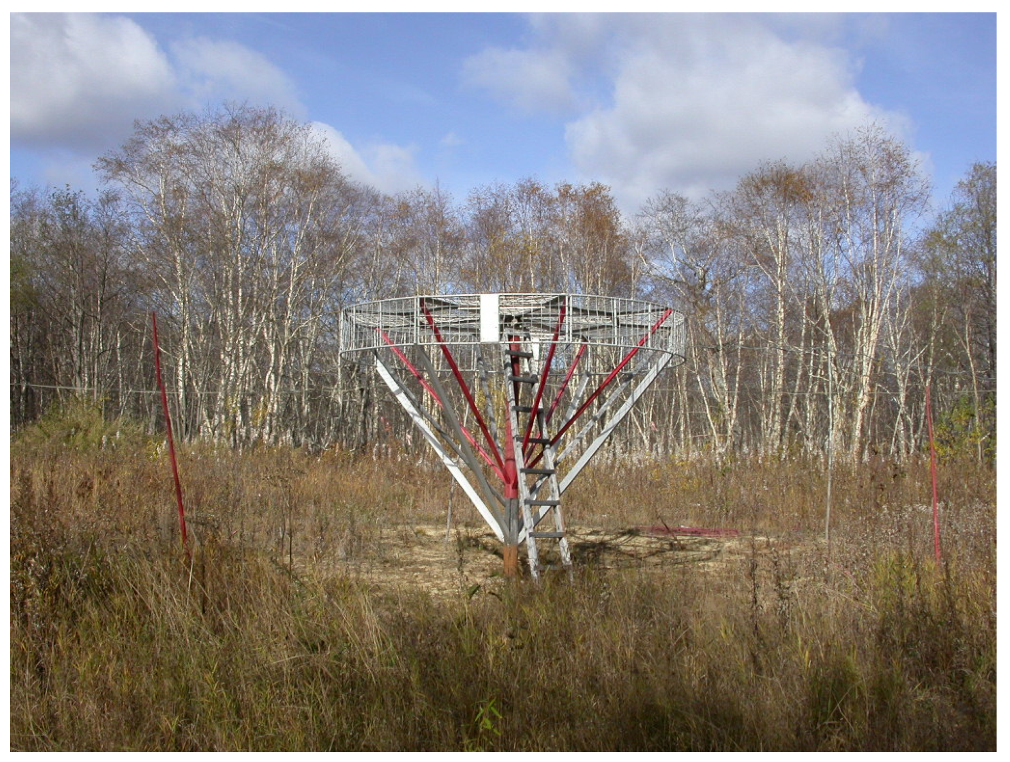 Applsci 13 02571 g003