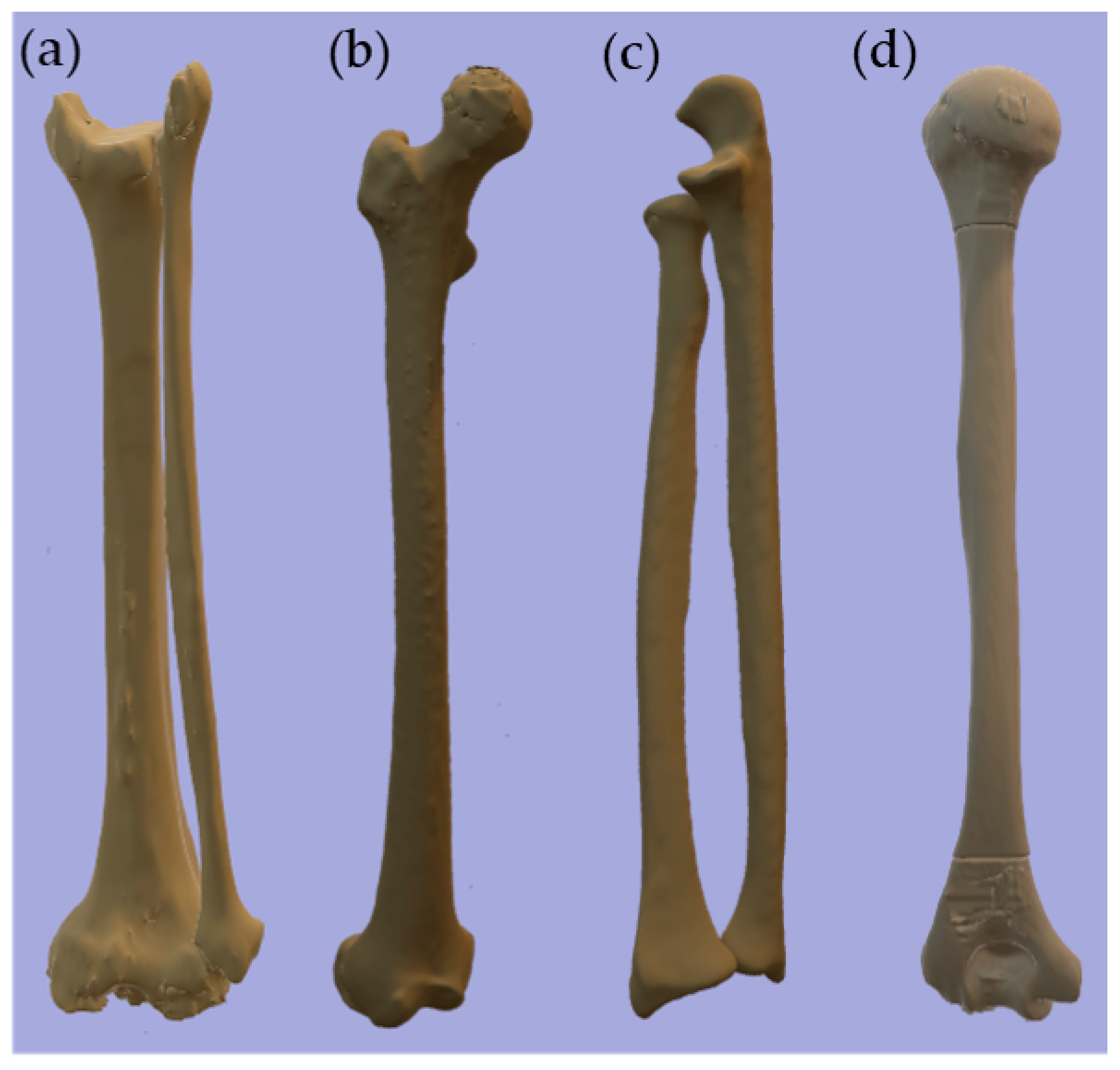 Applsci 13 02587 g001