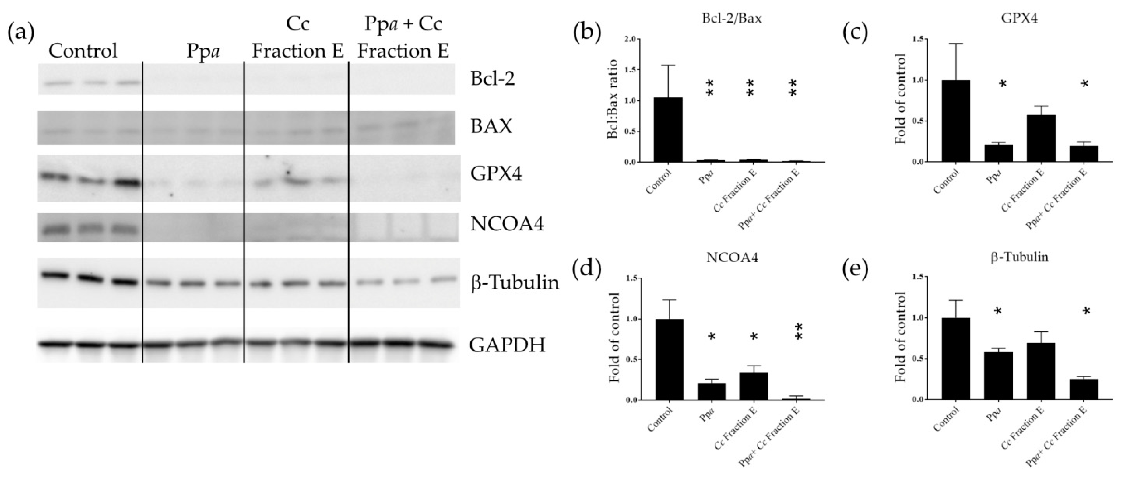 Applsci 13 02590 g002