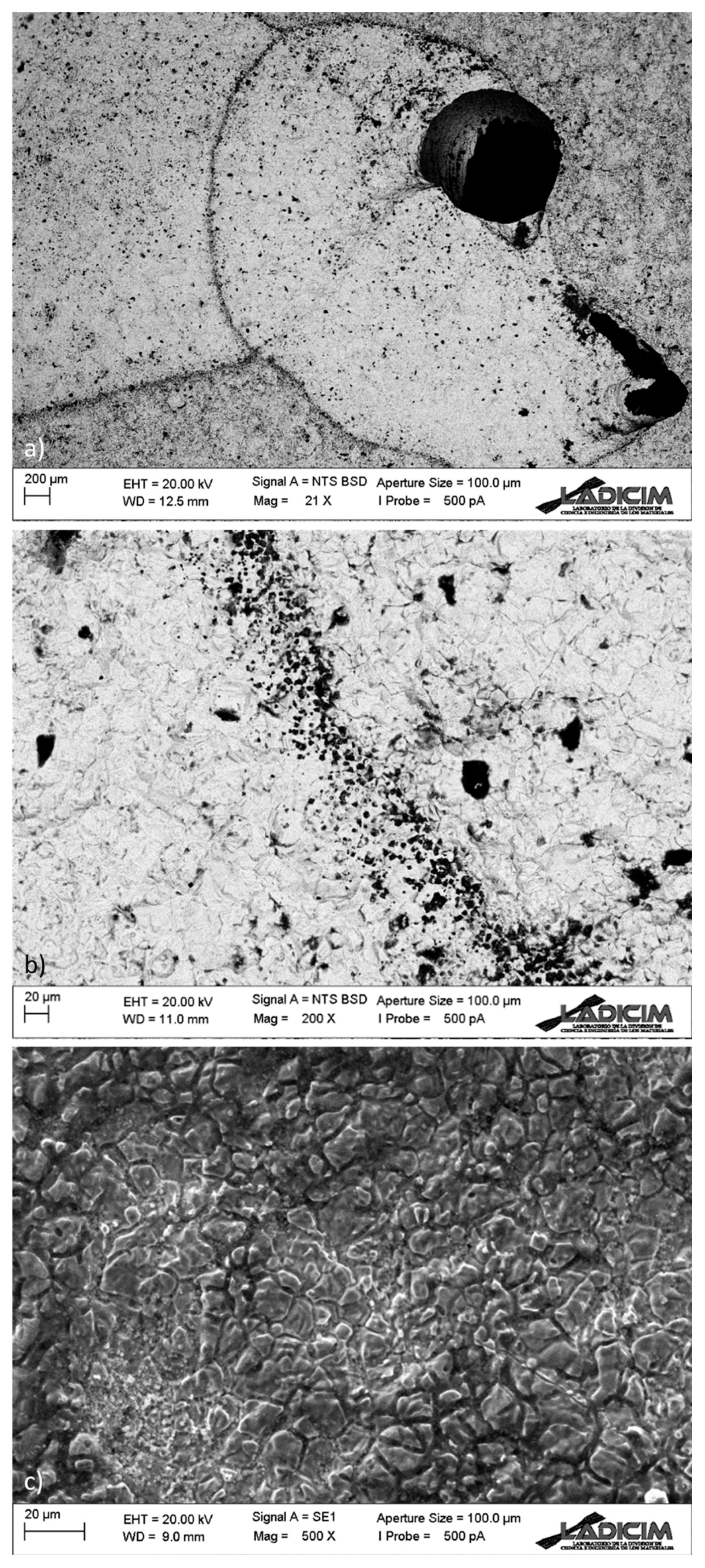 Applsci 13 02598 g007