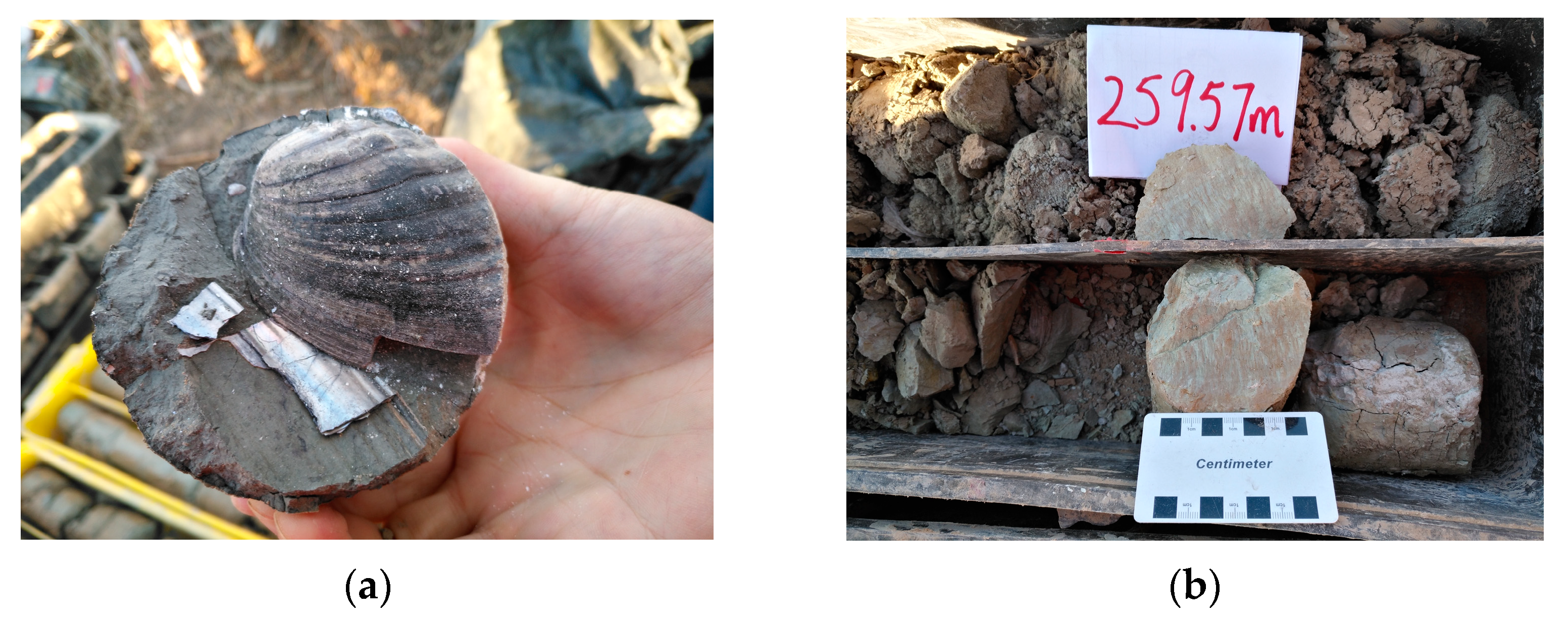 Applsci 13 02662 g003