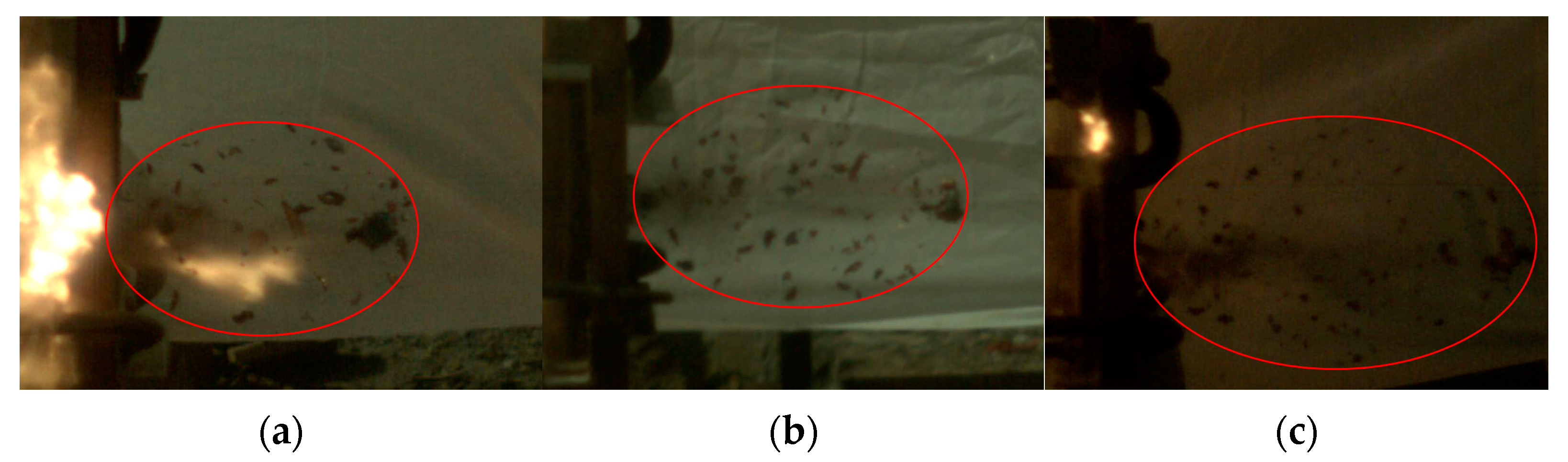 Applsci 13 02665 g004