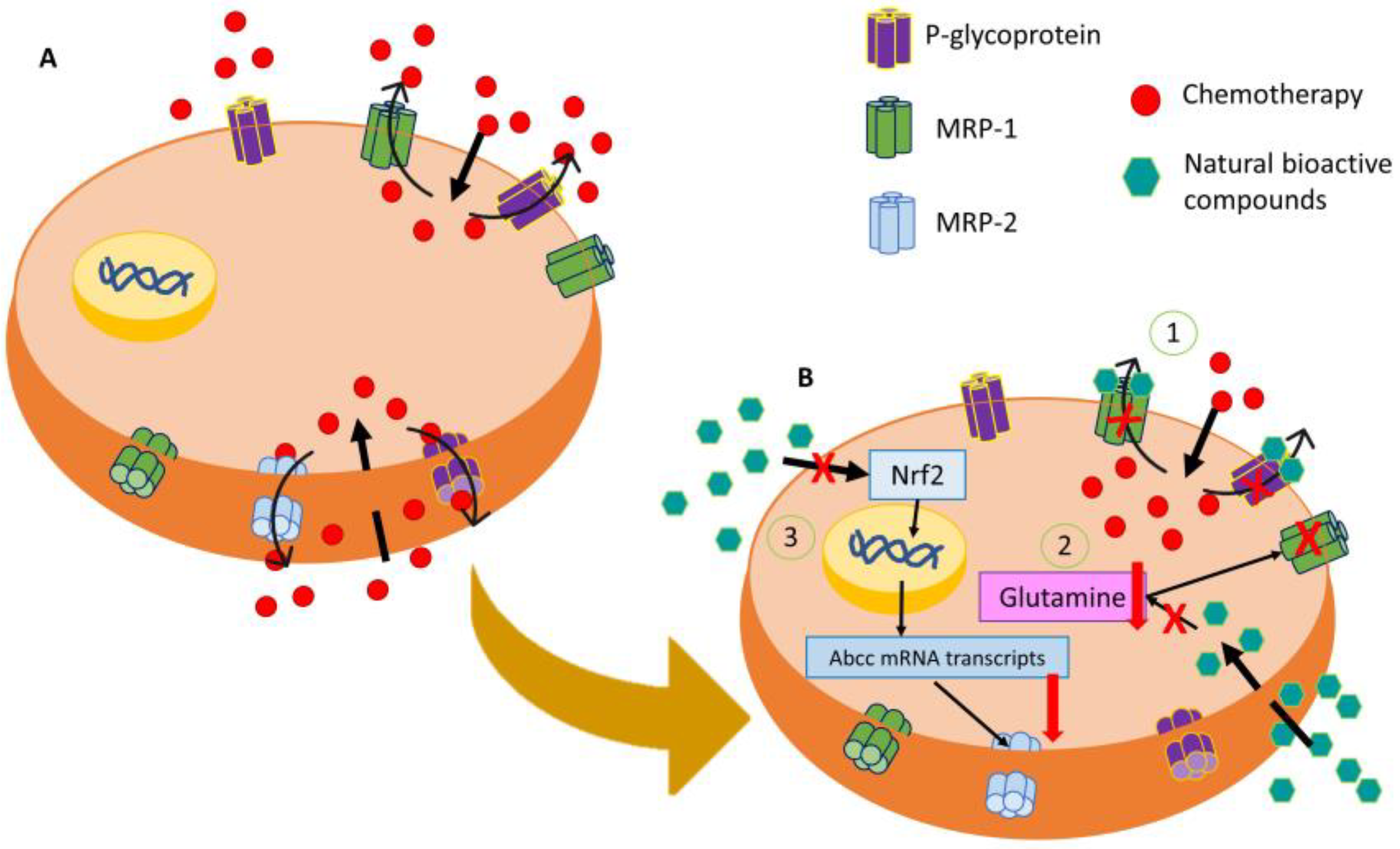 Applsci 13 02667 g001