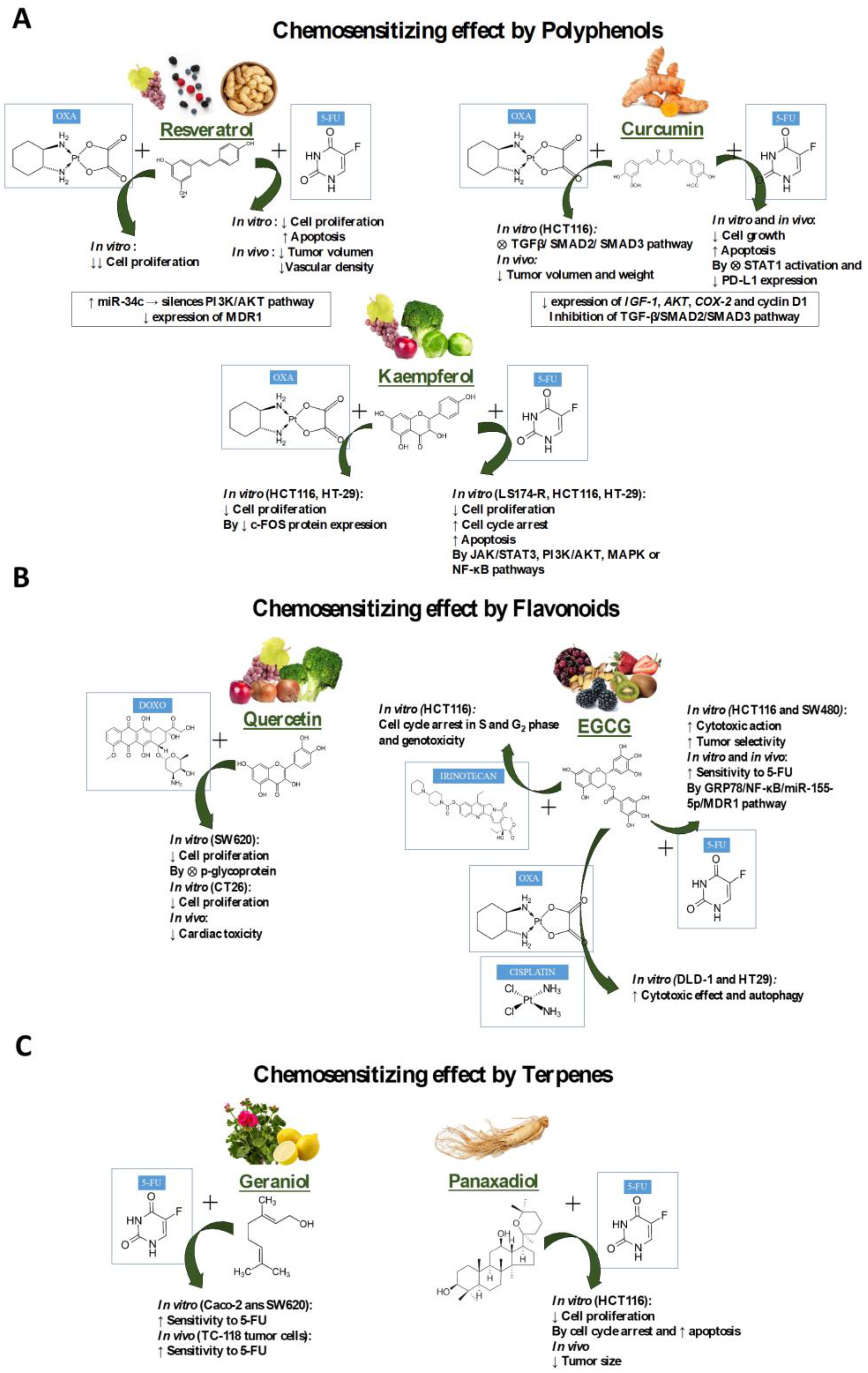 Applsci 13 02667 g002