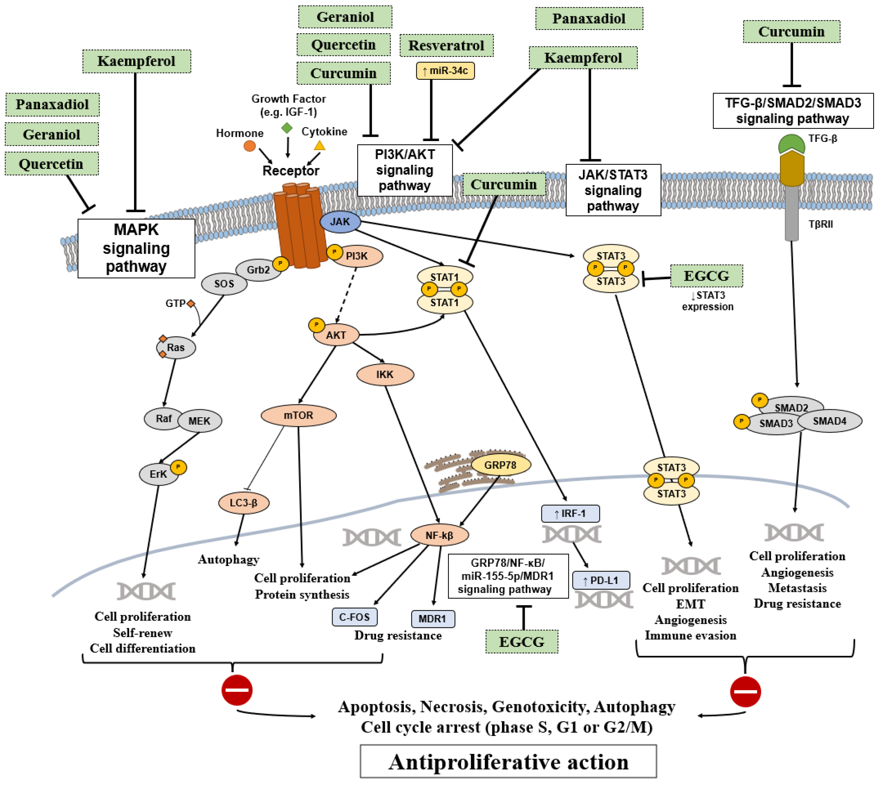 Applsci 13 02667 g003