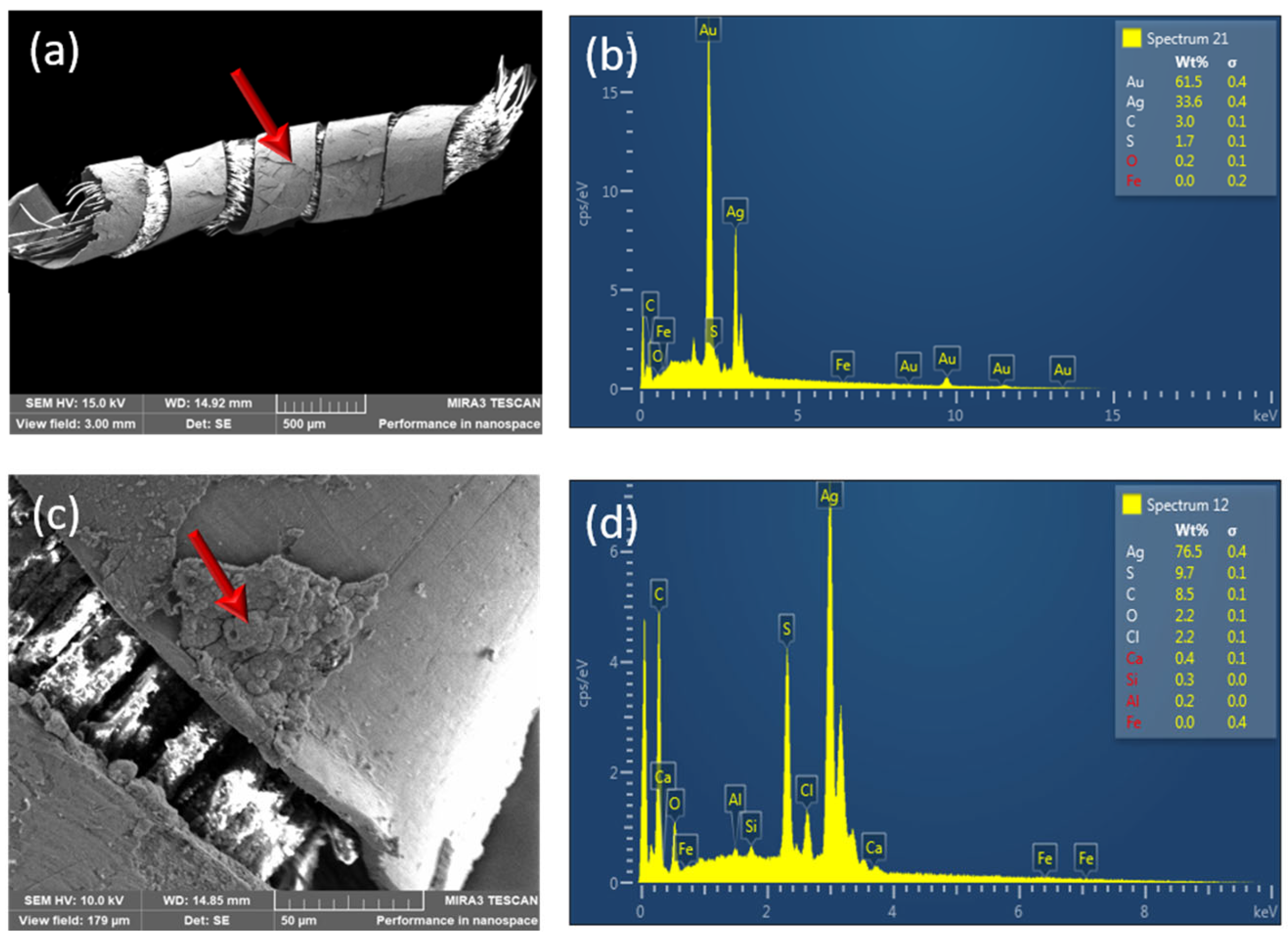 Applsci 13 02669 g003