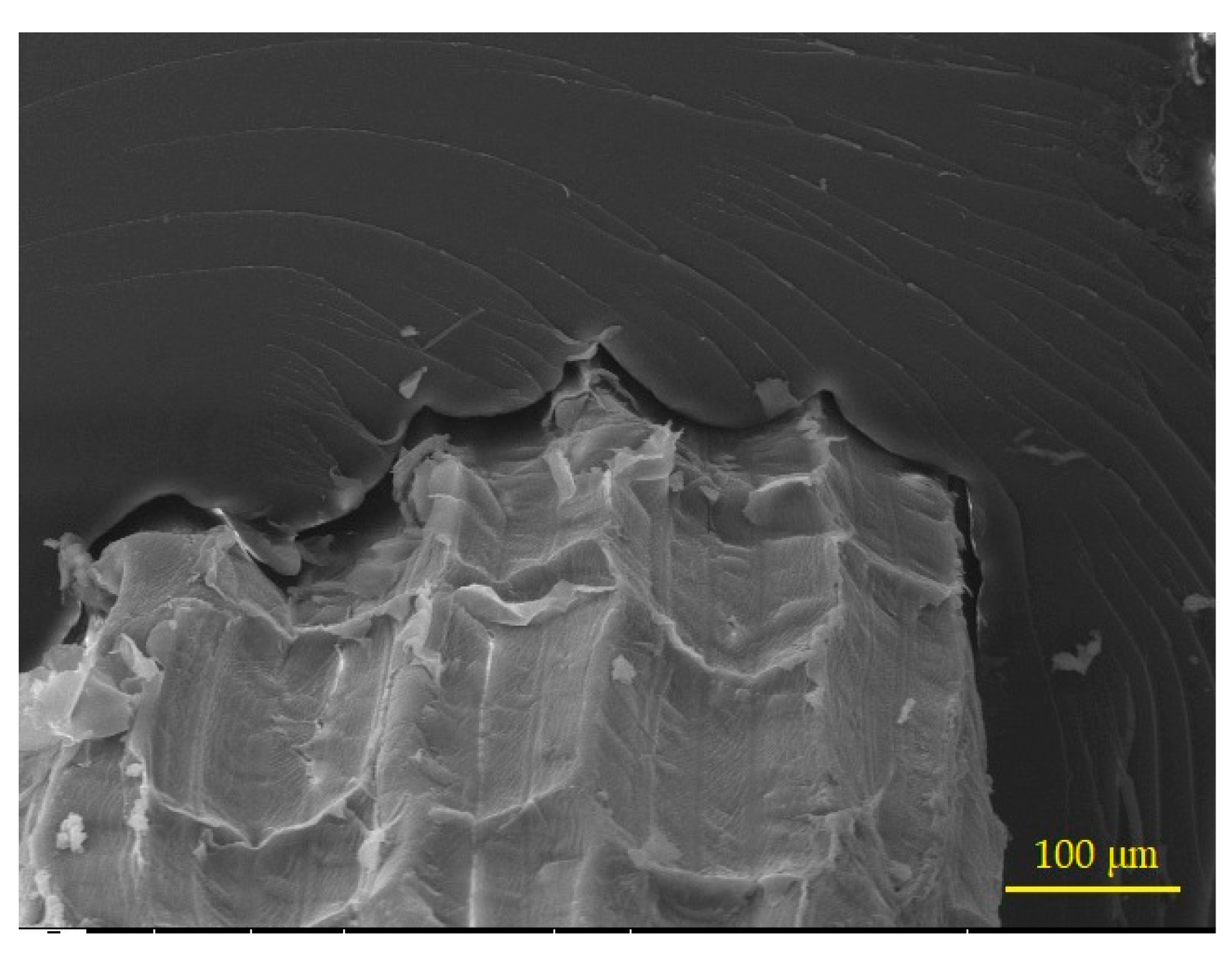 Applsci 13 02677 g007