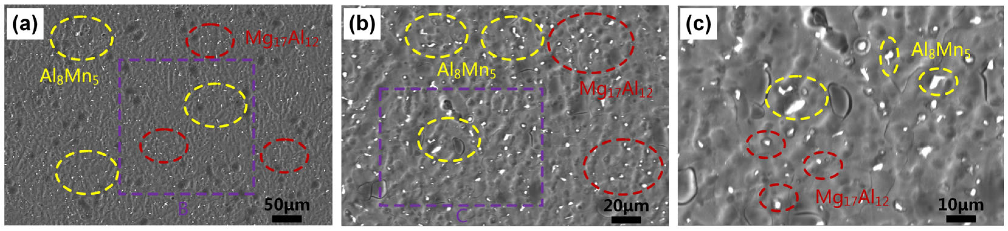 Applsci 13 02720 g008