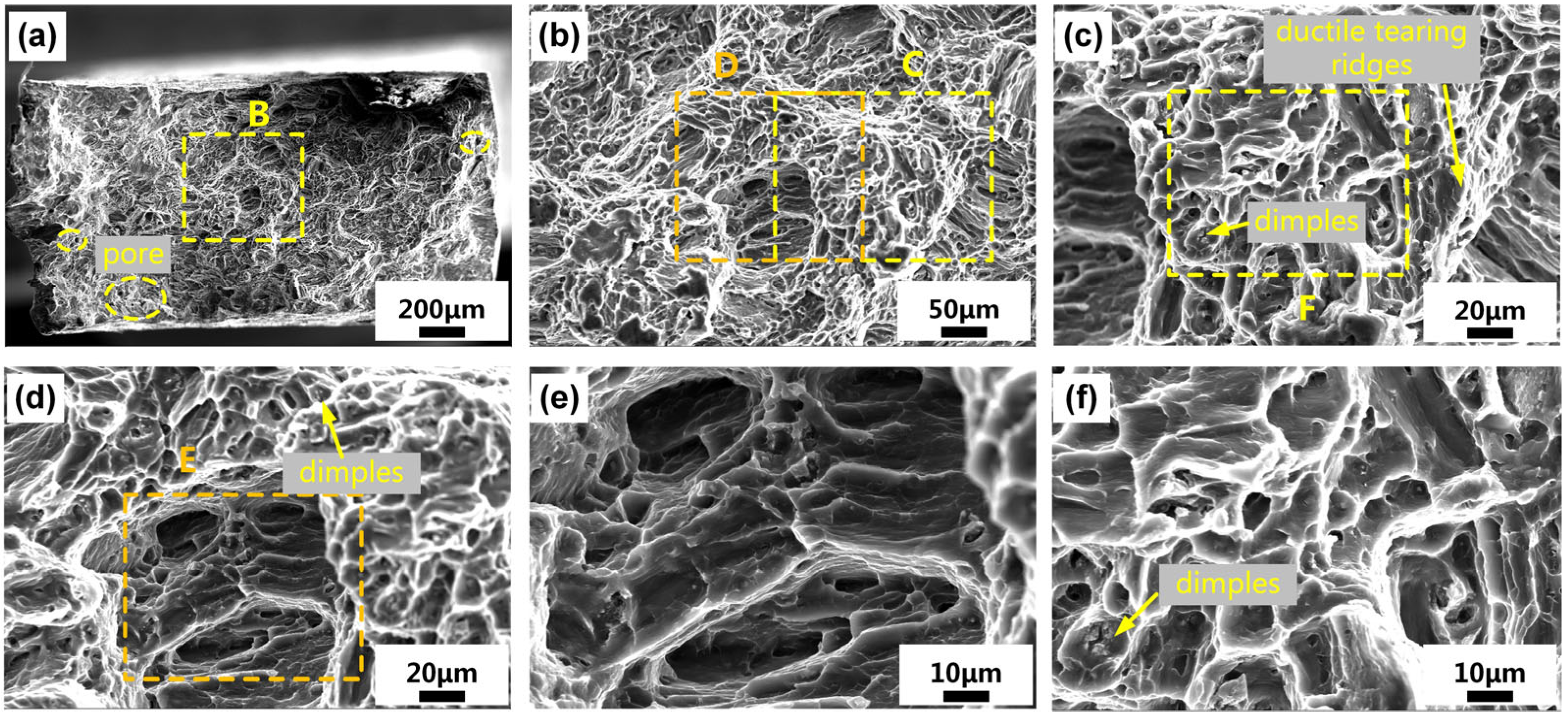 Applsci 13 02720 g010