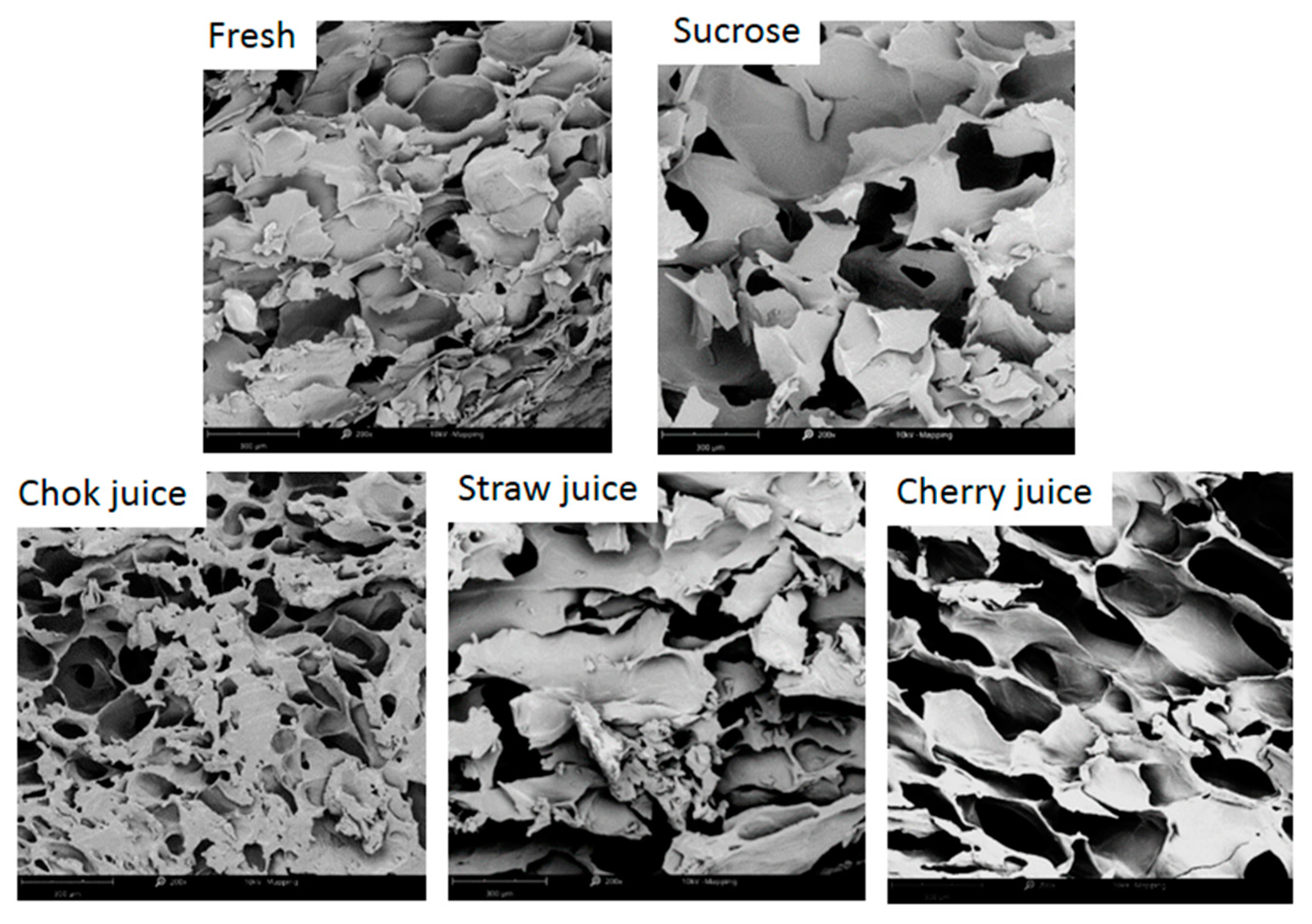 Applsci 13 02728 g004