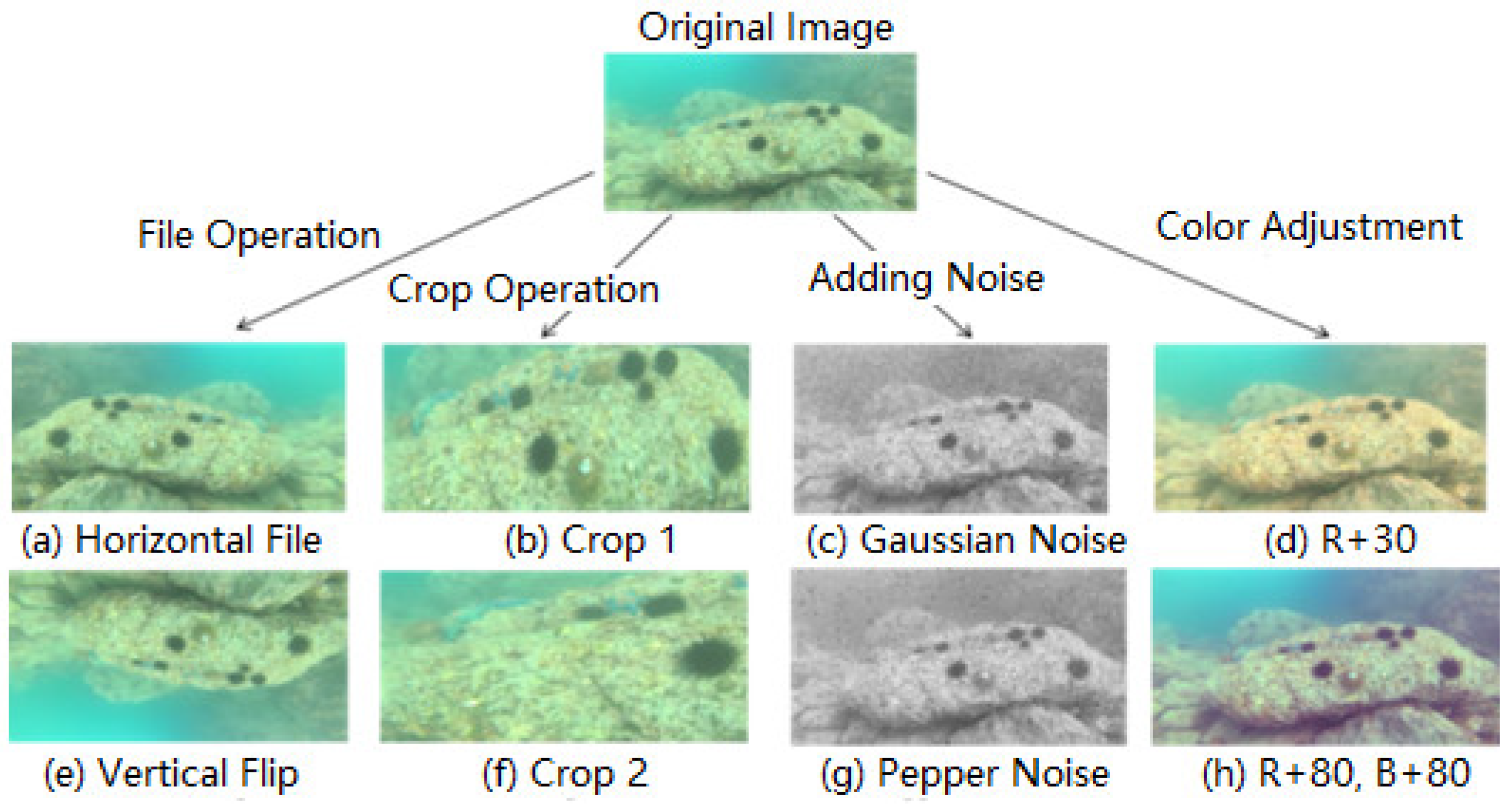 Applsci 13 02746 g003