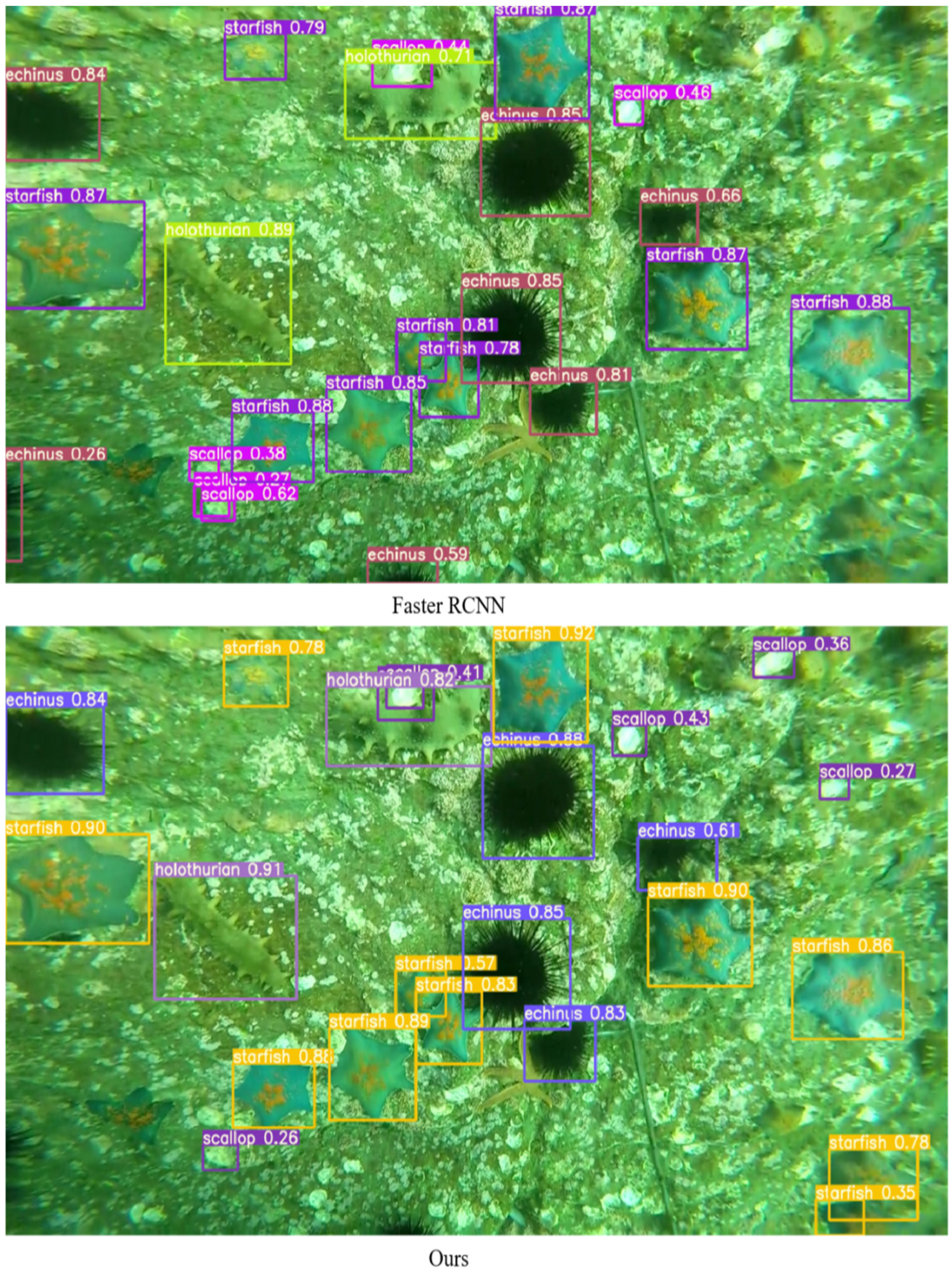 Applsci 13 02746 g007