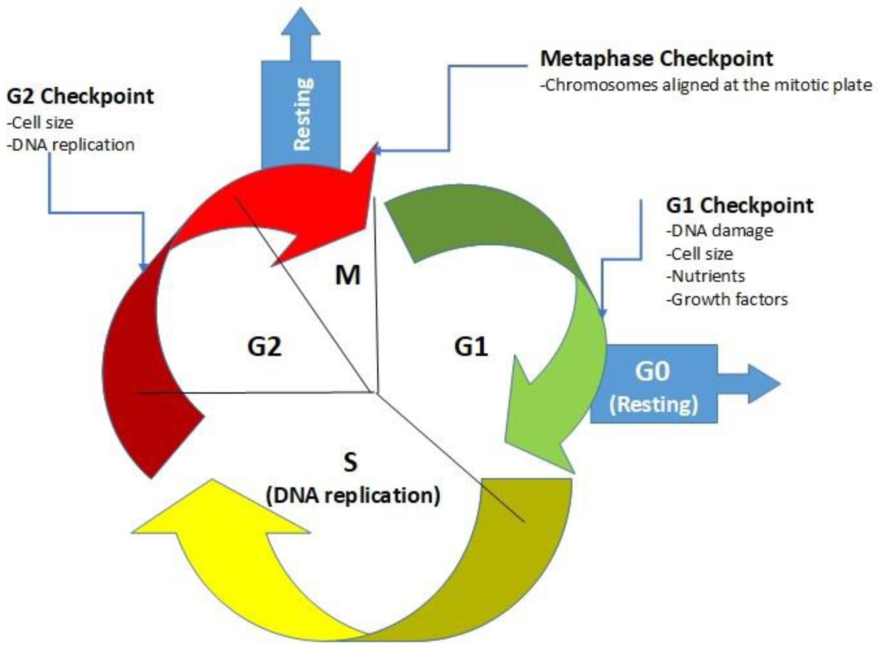 Applsci 13 02757 g001